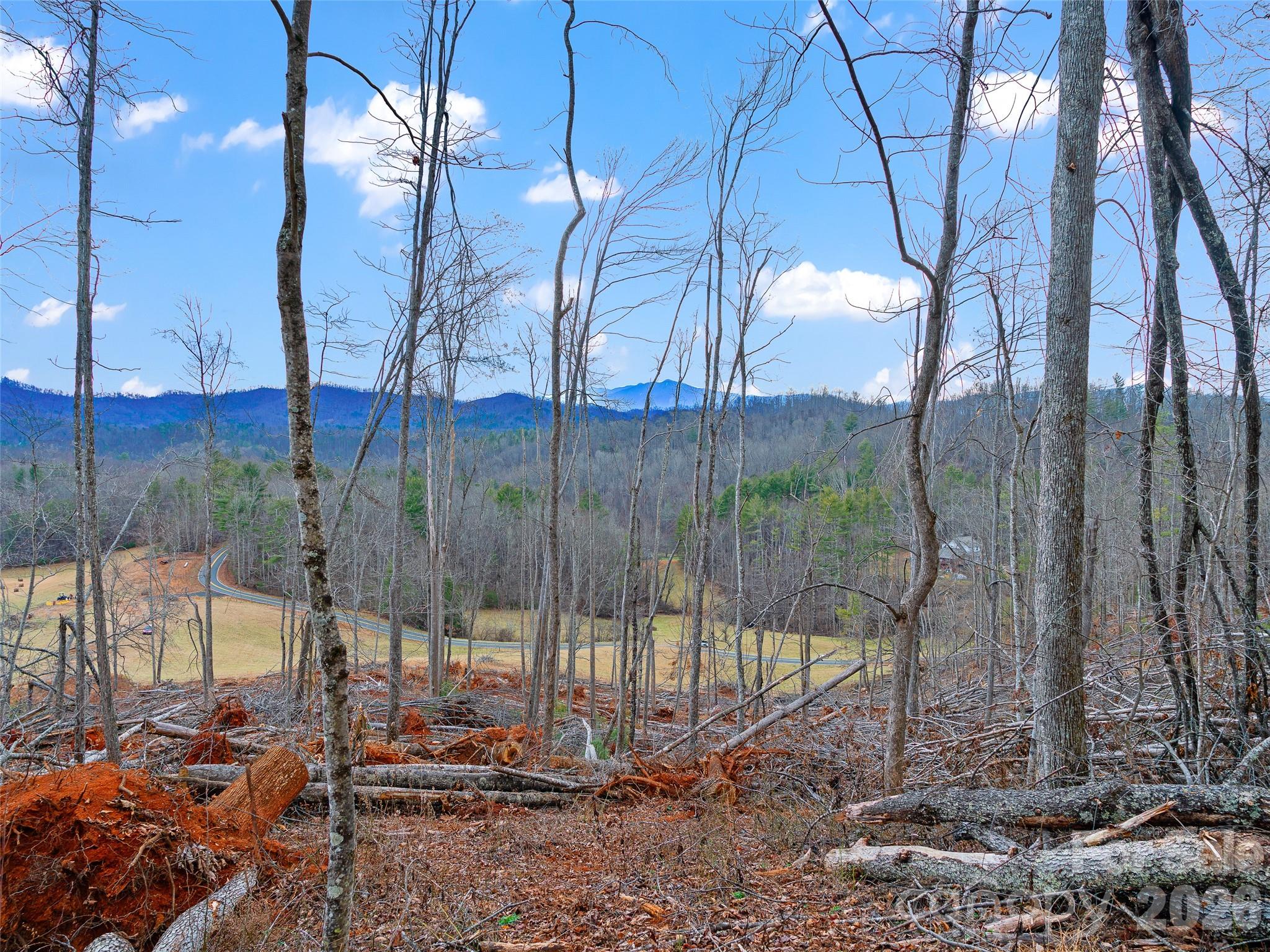 Acreage at 784 Green Young Cemetery Road, Bakersville, photo 41 of 46