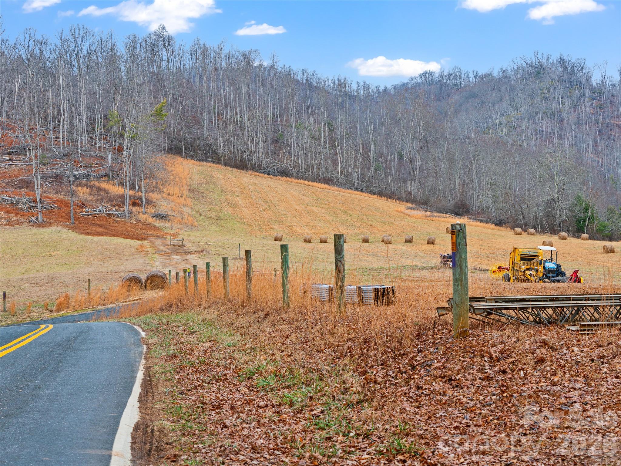 Acreage at 784 Green Young Cemetery Road, Bakersville, photo 45 of 46