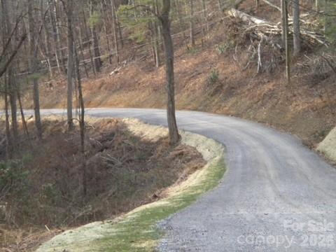 Road - 67 Earwood Ridge Road, Fairview