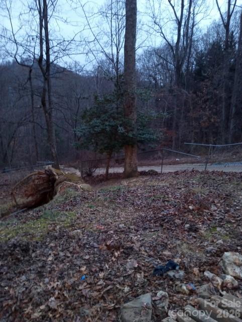 Yard - 67 Earwood Ridge Road, Fairview