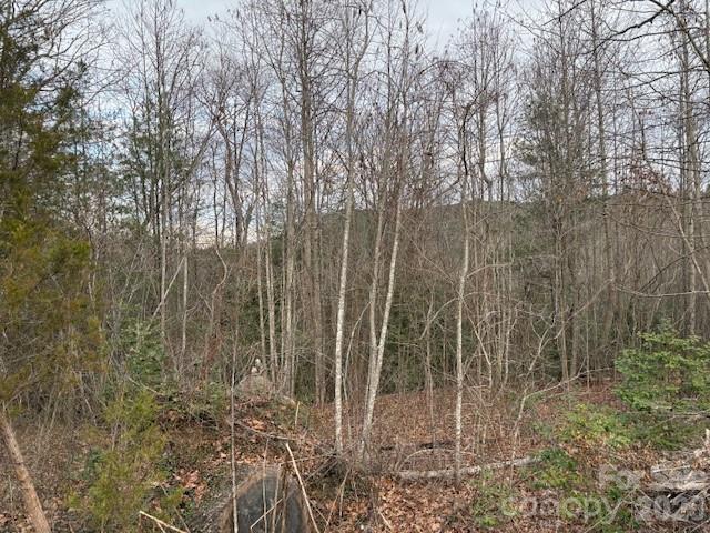 Acreage at 0 S Old Nc 18 Highway S, Connelly Springs, photo 2 of 13