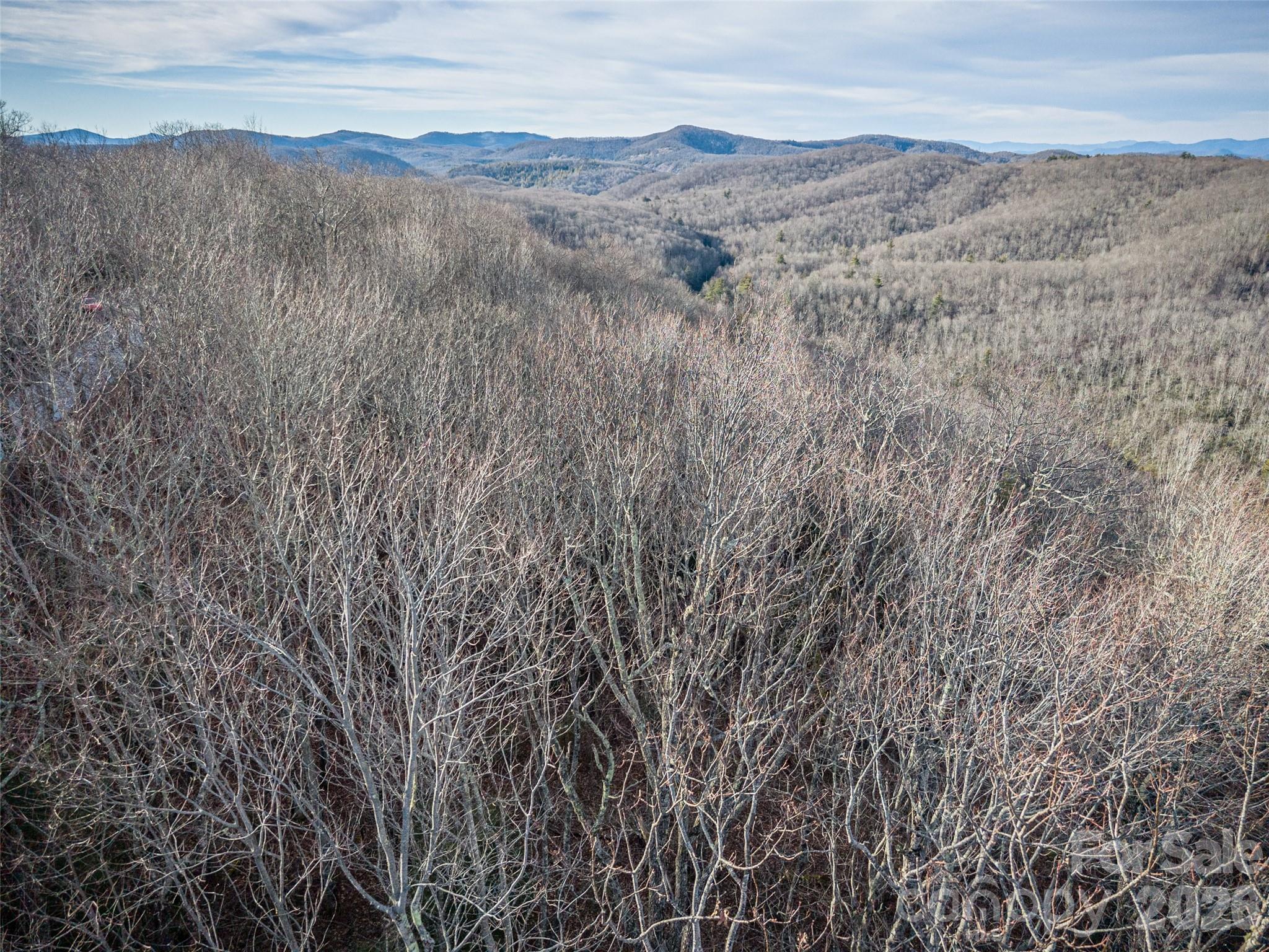 Lot at 000 Meadow Ridge Drive, Lake Toxaway, photo 20 of 23
