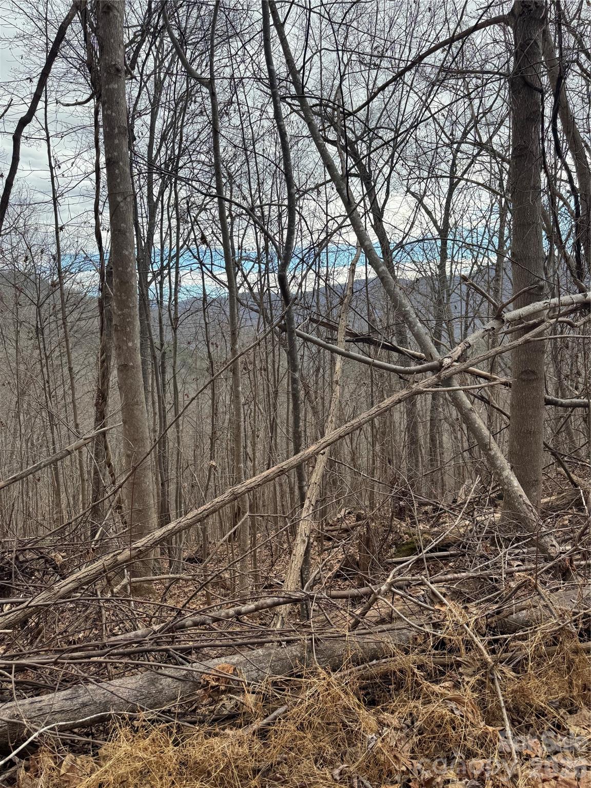 Acreage at 99999 Penland Road, Hayesville, photo 2 of 3