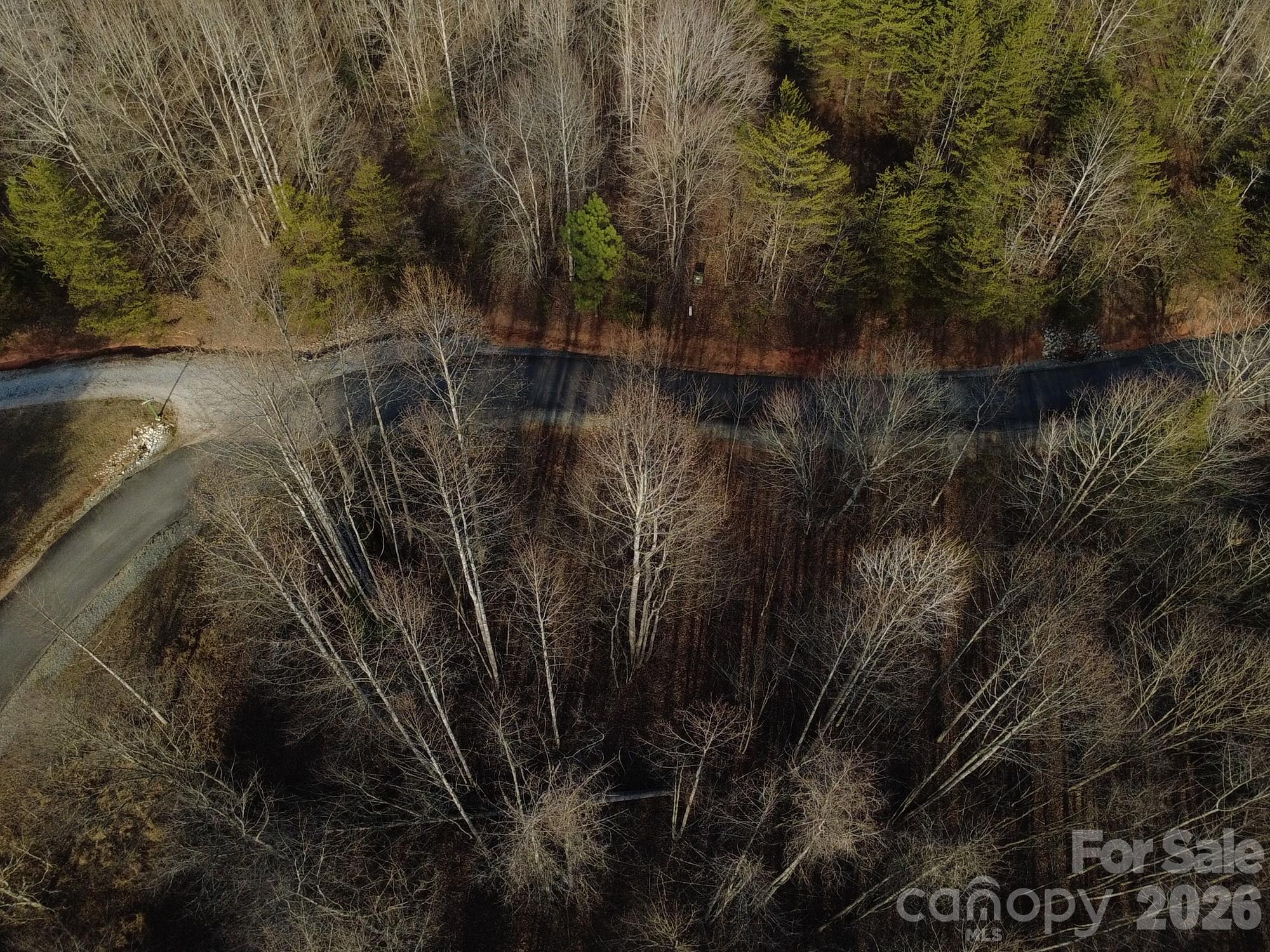 Lot at Lot 24 Double Eagle Drive, Nebo, photo 2 of 31