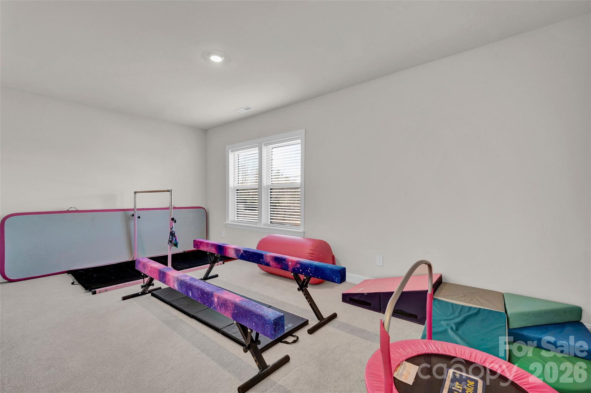 Bedroom #6 in the basement with walk-in closet and full bathroom - 309 W Waterlynn Road, Mooresville