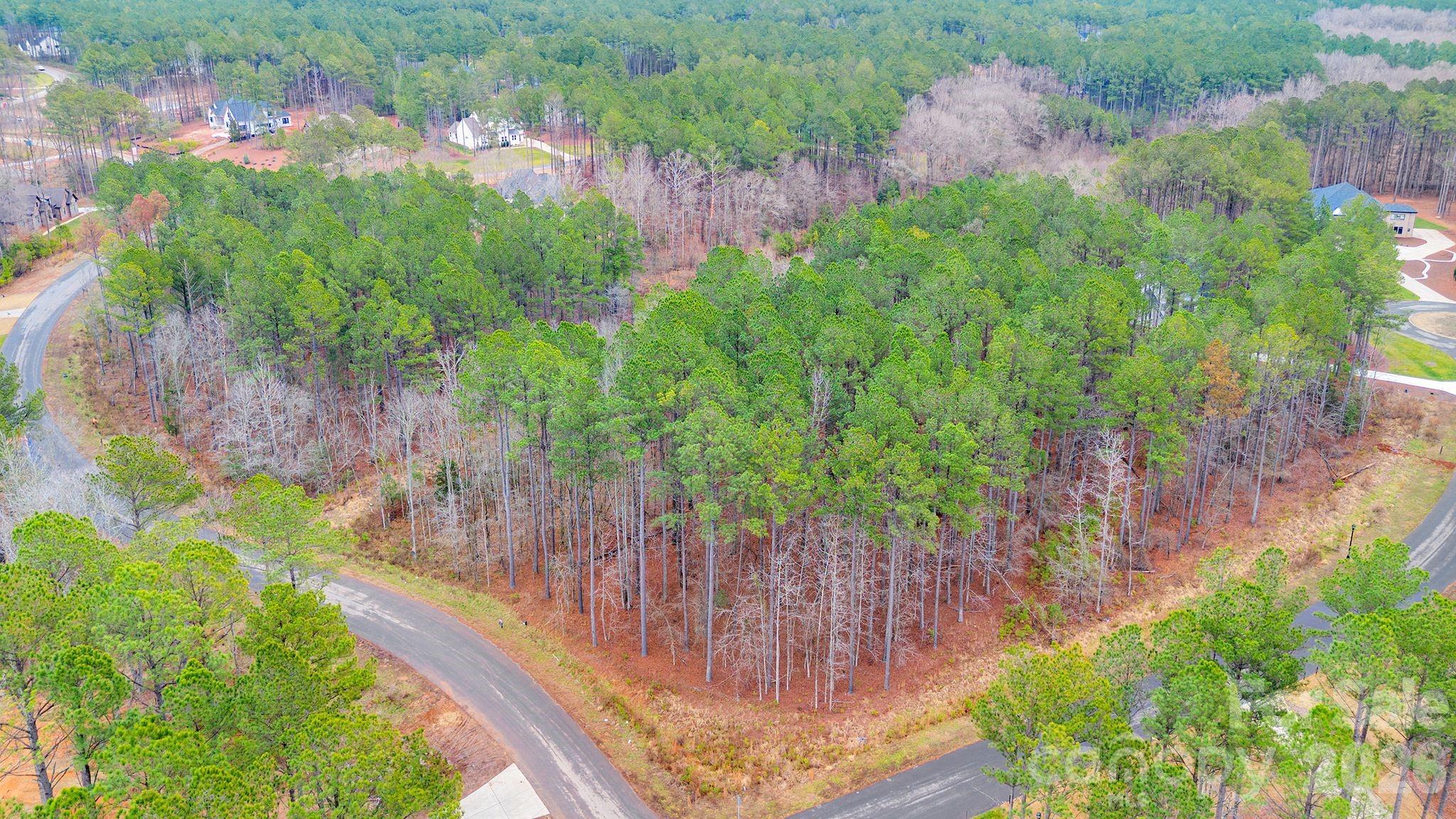 Lot at 8066 Gulf Creek Road, Lancaster, photo 3 of 47