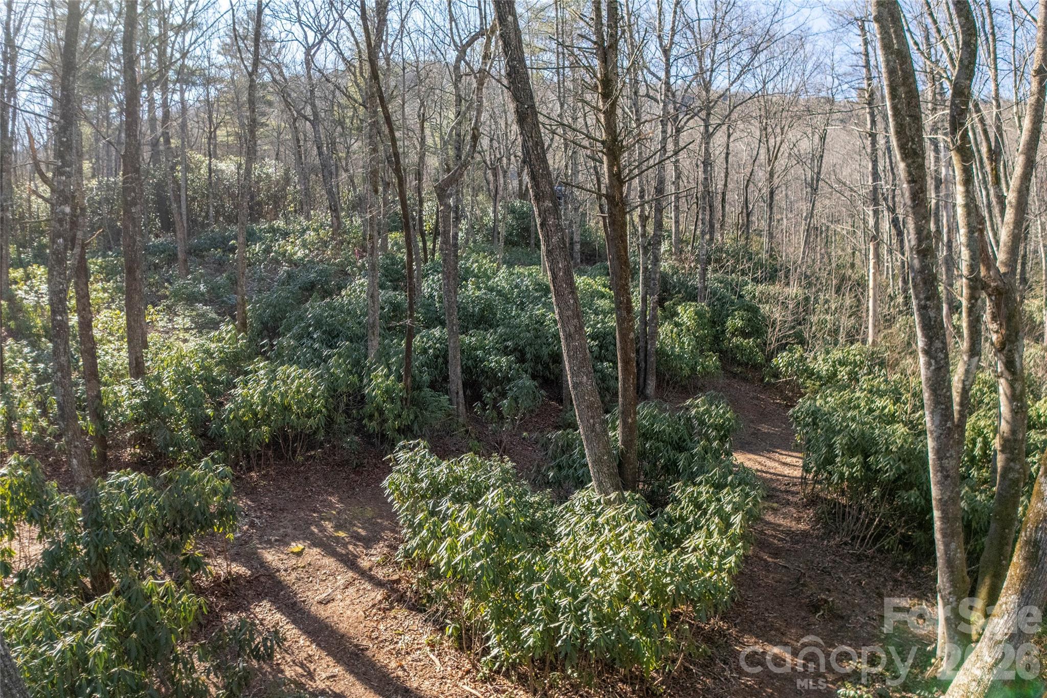 Lot at L 9A R Old Mine Point, Lake Toxaway, photo 7 of 24