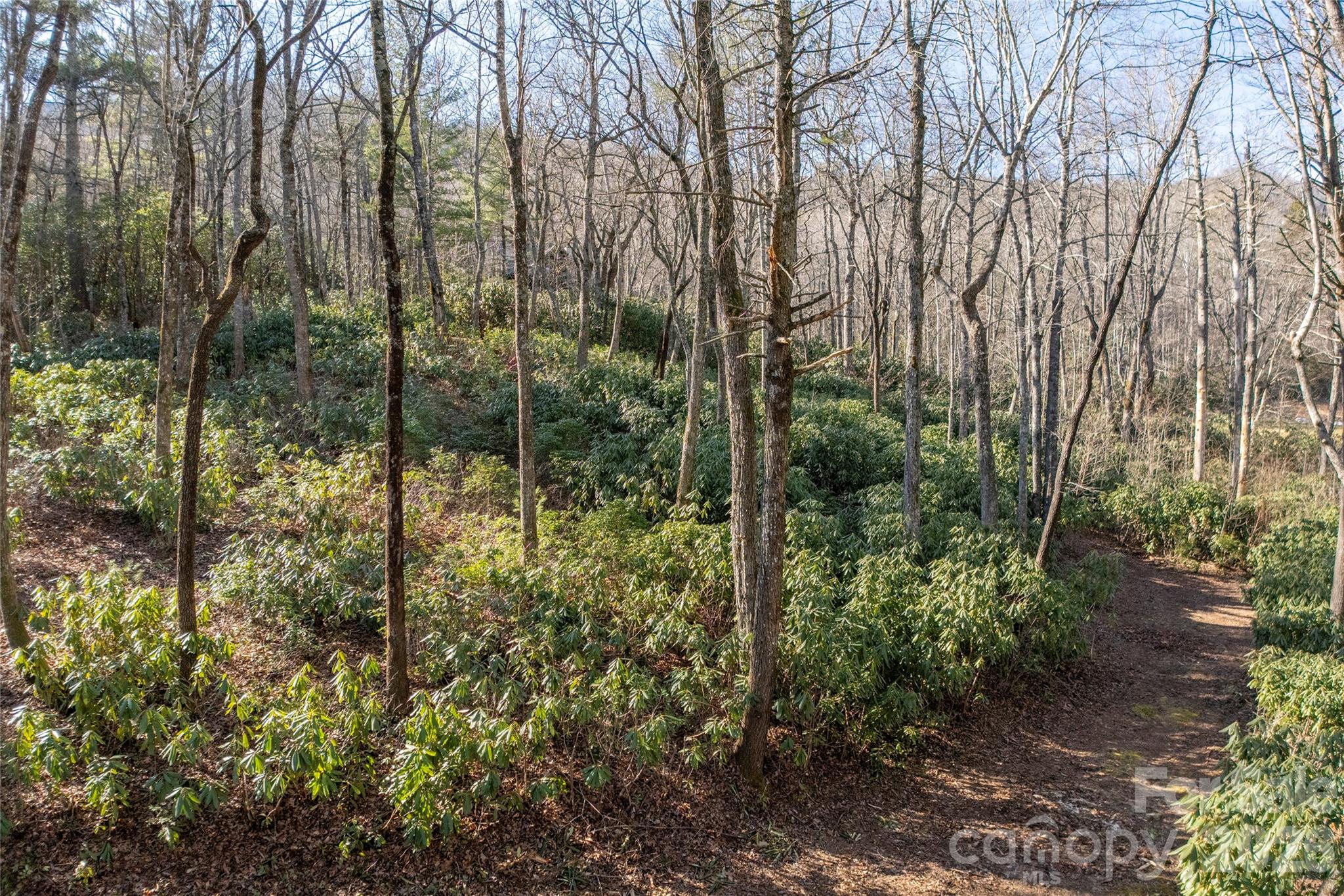 Lot at L 9A R Old Mine Point, Lake Toxaway, photo 8 of 24