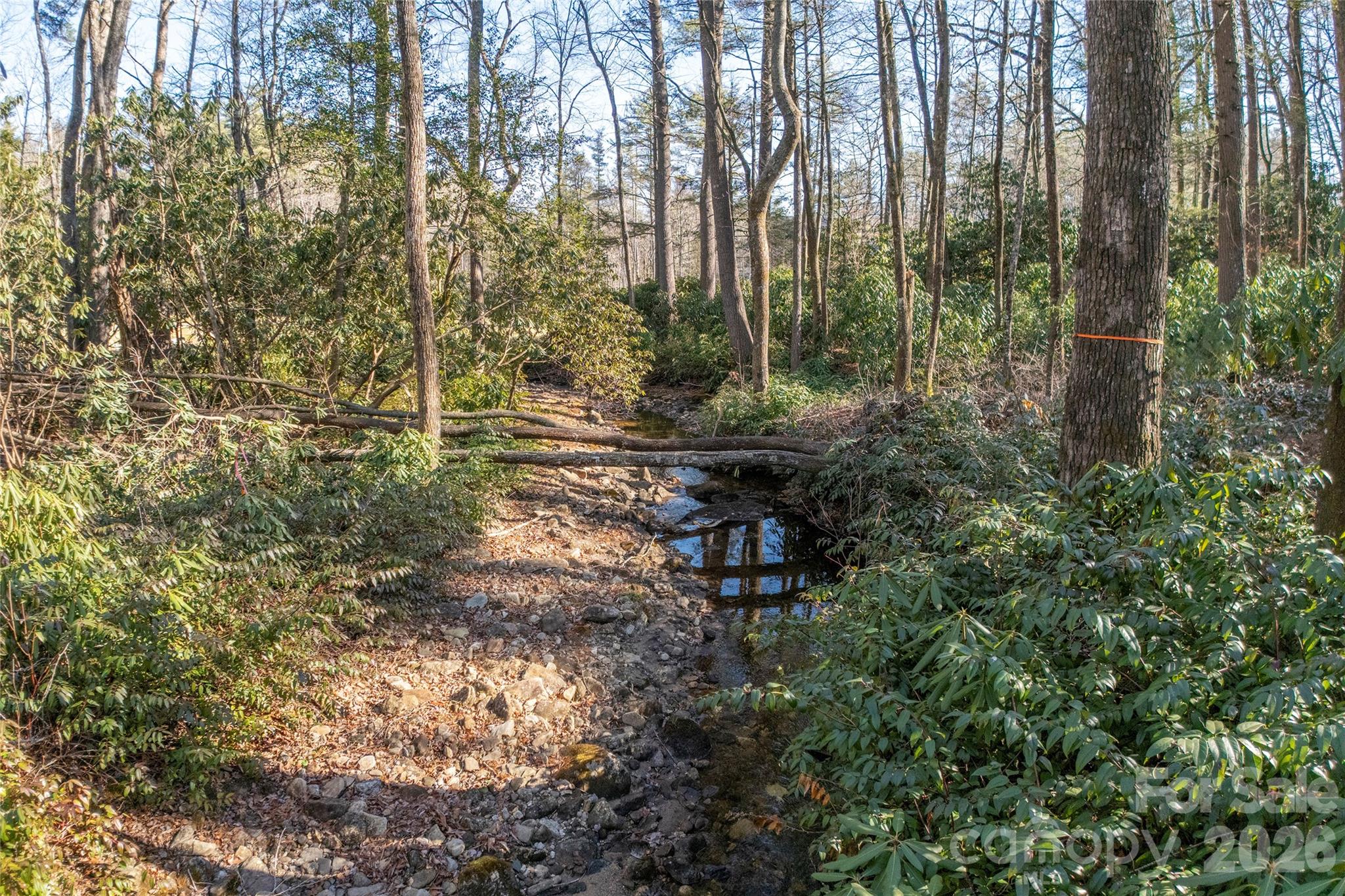 Lot at L 9A R Old Mine Point, Lake Toxaway, photo 9 of 24