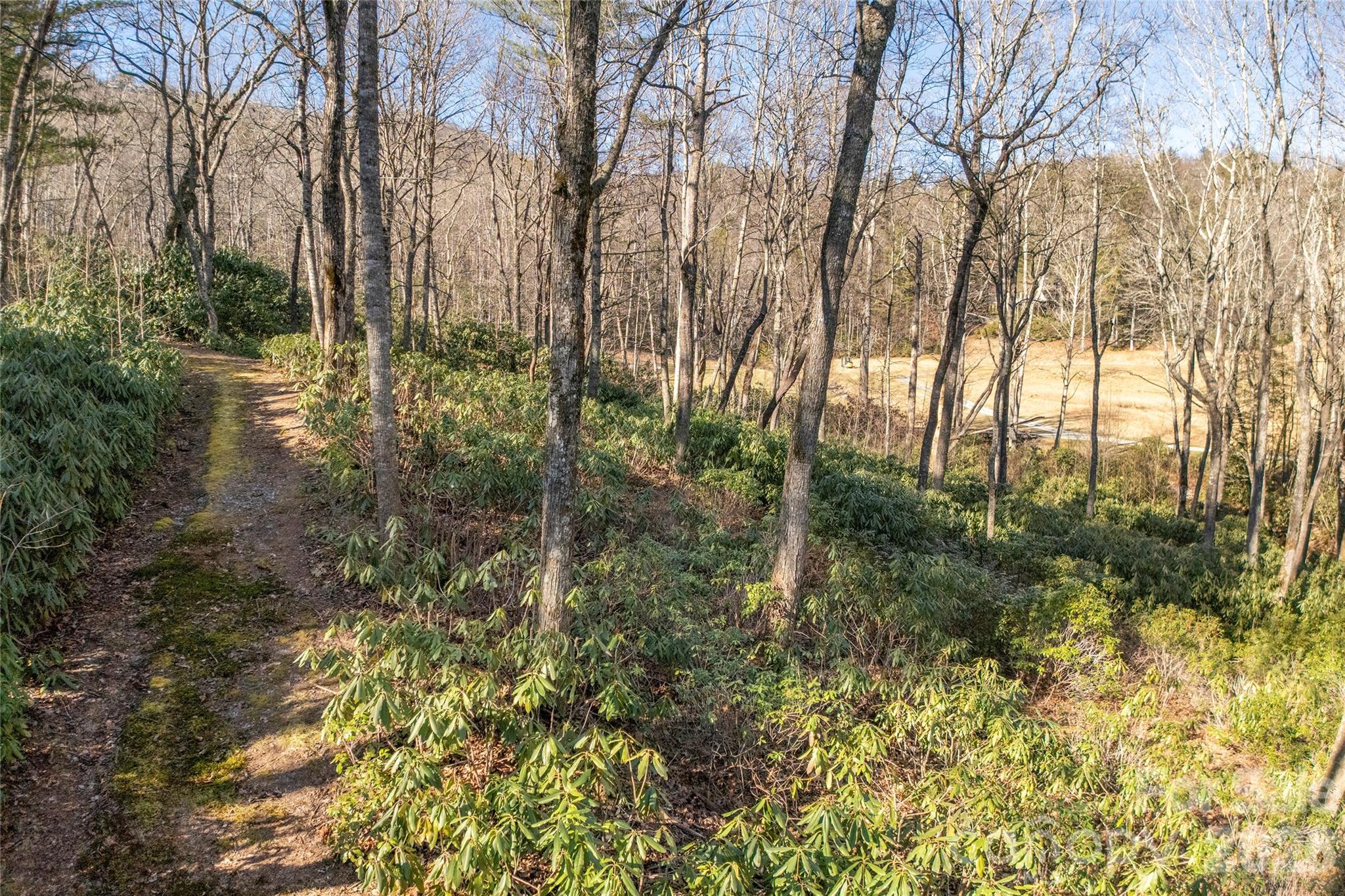 Lot at L 9A R Old Mine Point, Lake Toxaway, photo 11 of 24