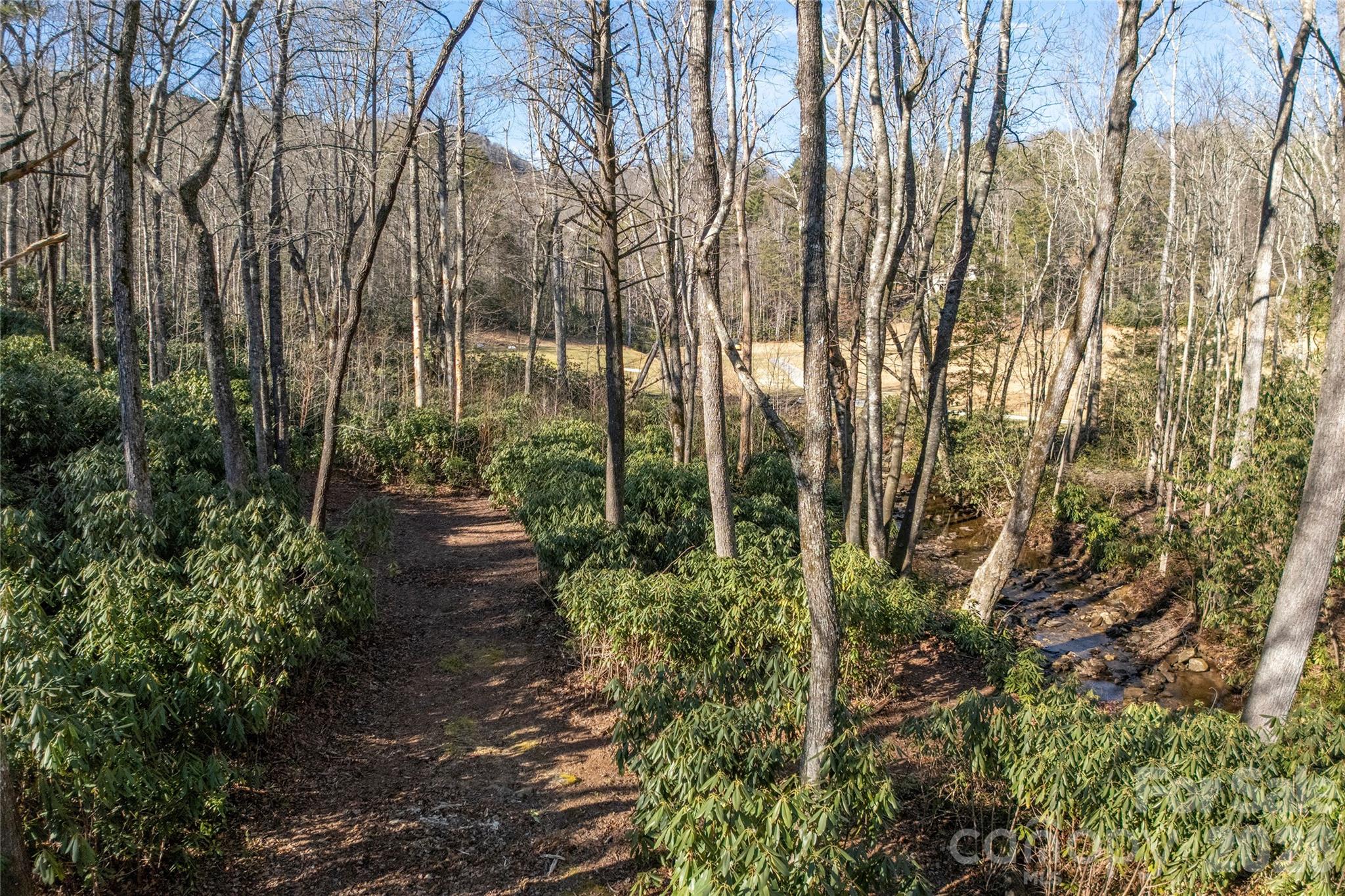 Lot at L 9A R Old Mine Point, Lake Toxaway, photo 12 of 24