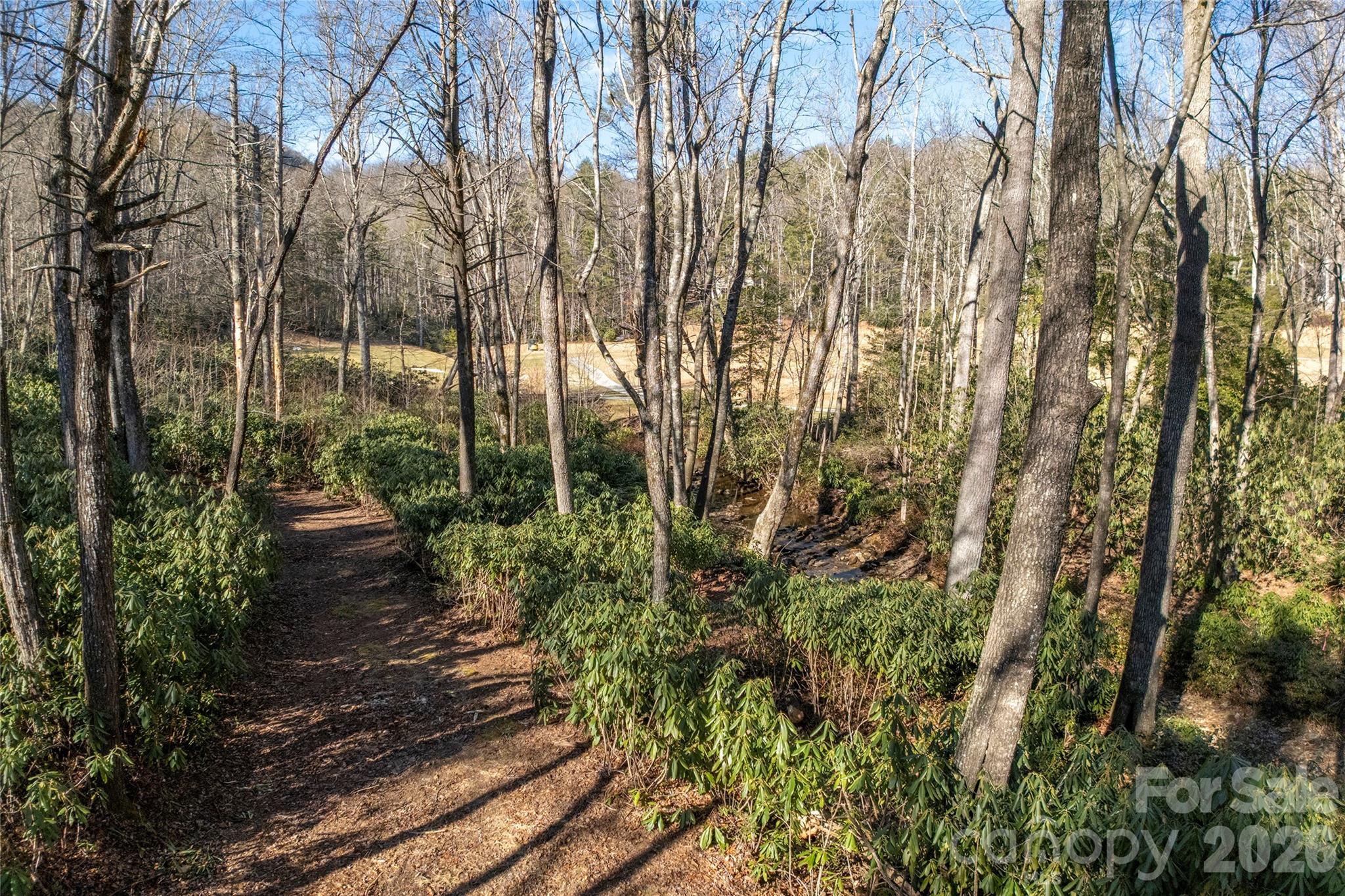 Lot at L 9A R Old Mine Point, Lake Toxaway, photo 13 of 24