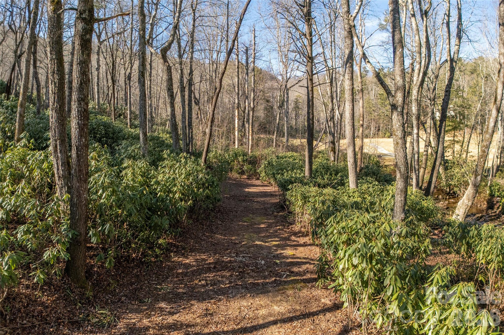 Lot at L 9A R Old Mine Point, Lake Toxaway, photo 14 of 24