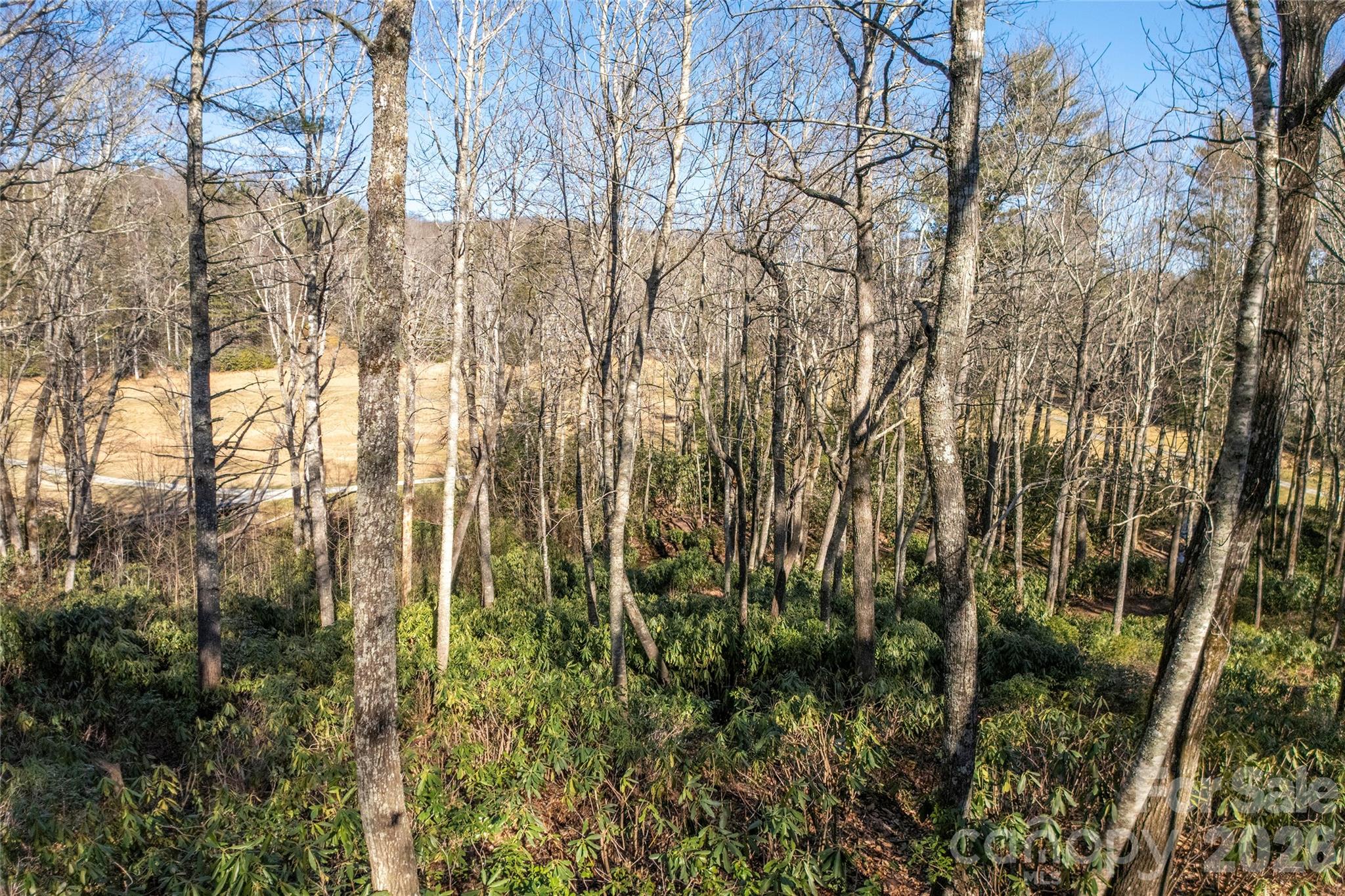 Lot at L 9A R Old Mine Point, Lake Toxaway, photo 15 of 24