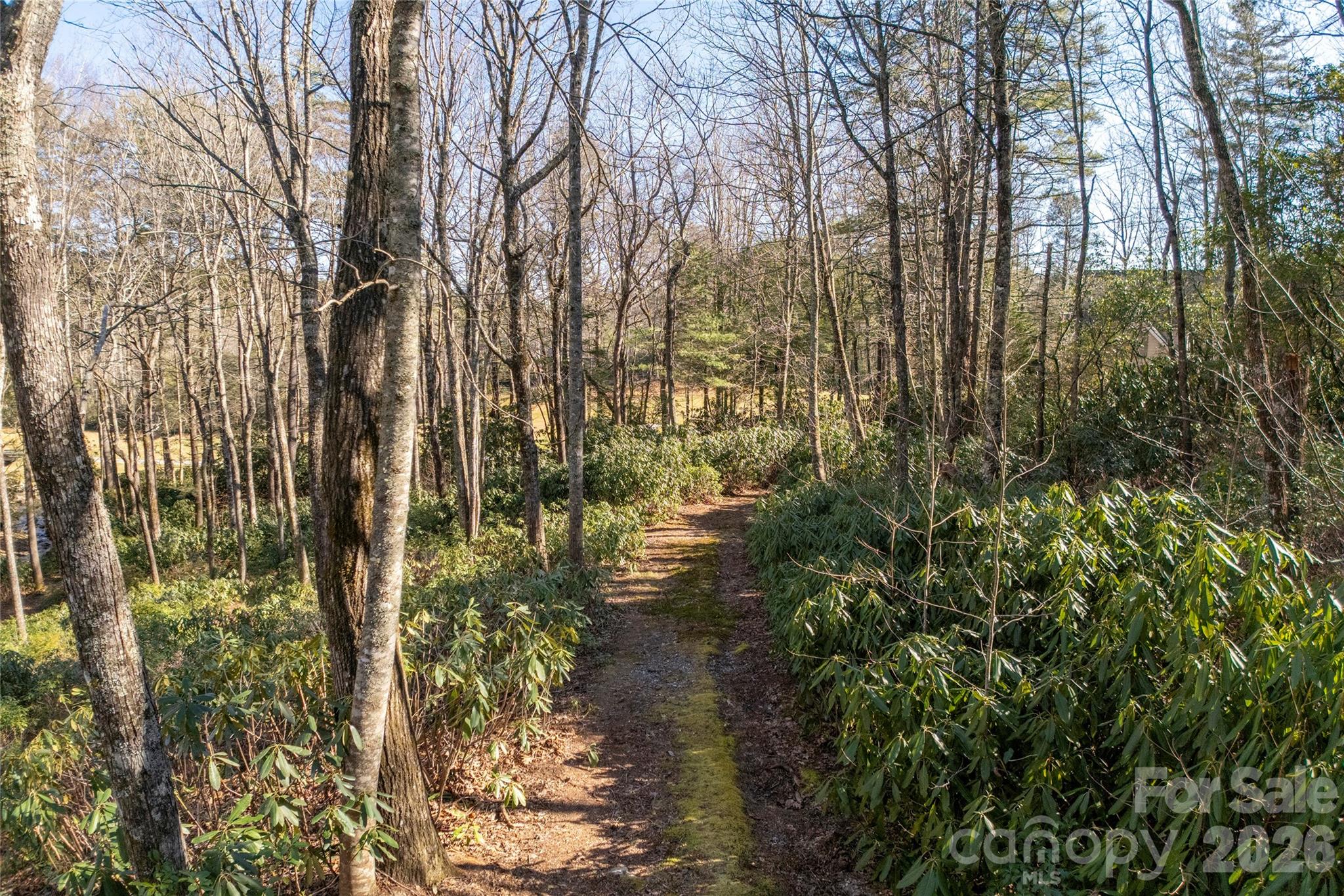 Lot at L 9A R Old Mine Point, Lake Toxaway, photo 16 of 24