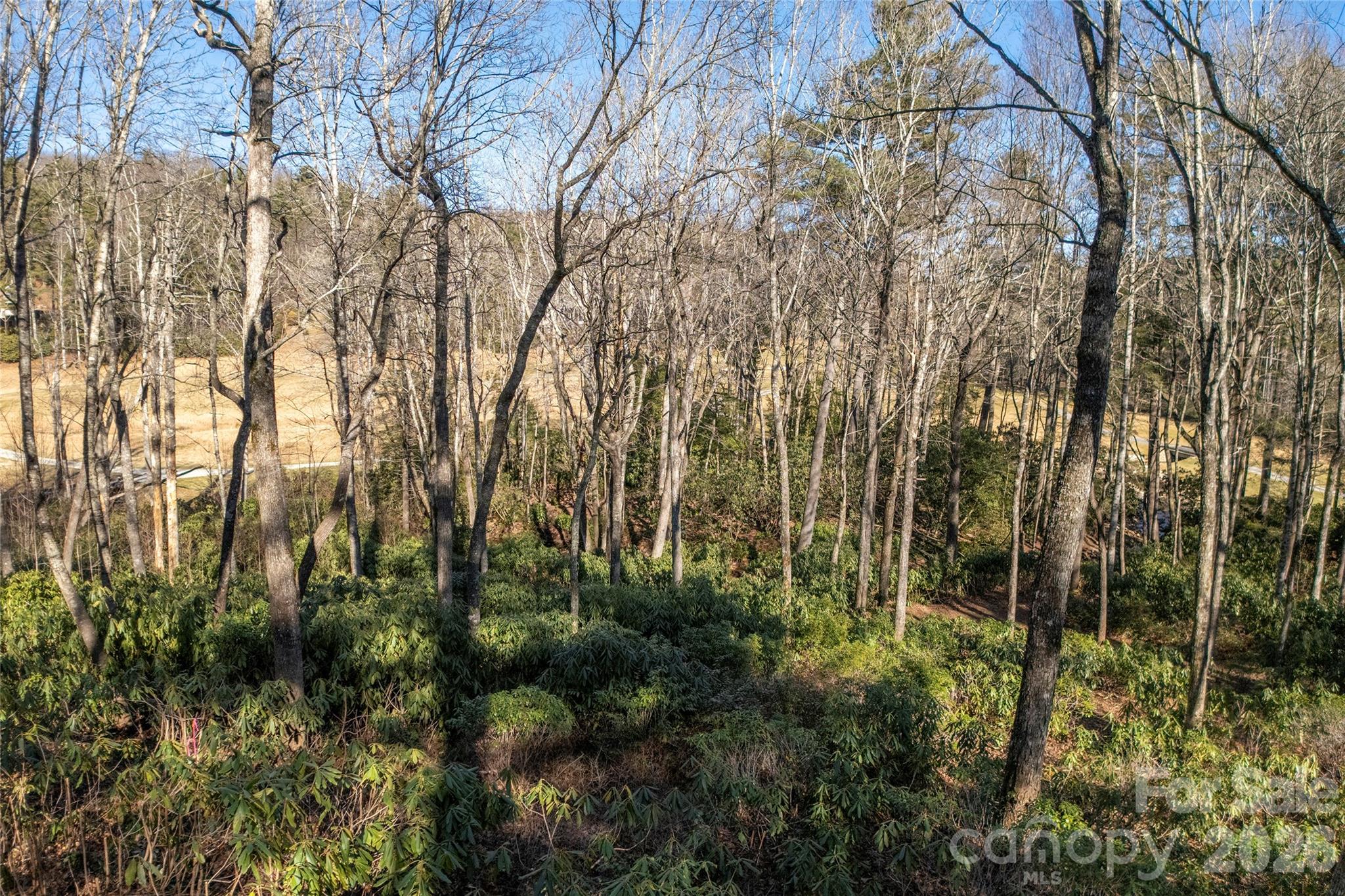 Lot at L 9A R Old Mine Point, Lake Toxaway, photo 17 of 24