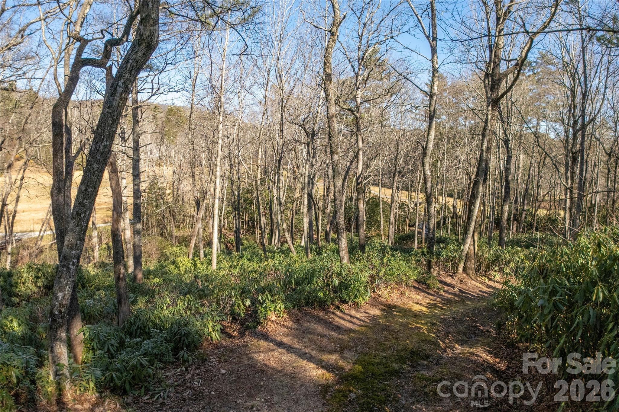 Lot at L 9A R Old Mine Point, Lake Toxaway, photo 18 of 24