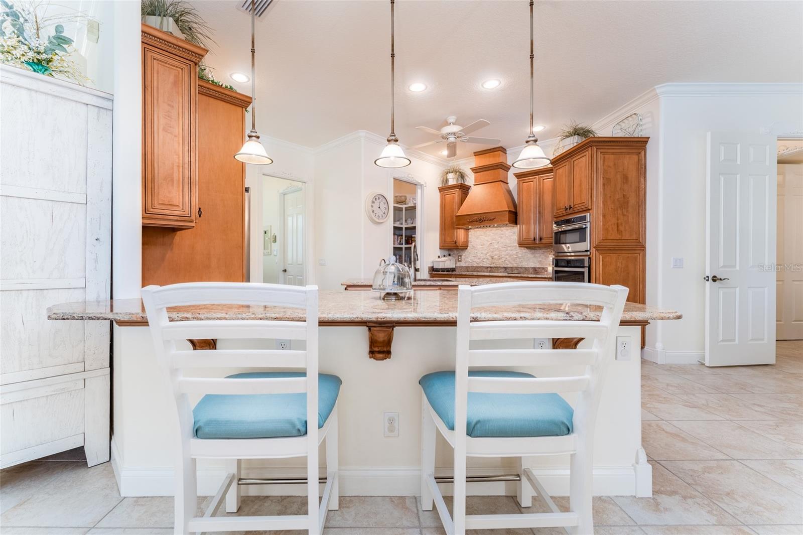 Single Family Residence at 10544 POUGHKEEPSIE CIR, PORT CHARLOTTE, photo 15 of 99