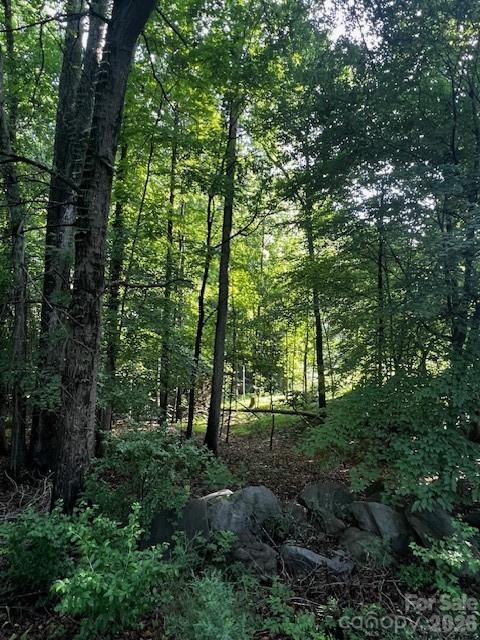 Lot at 8112 Bayview Lane, Belmont, photo 3 of 7