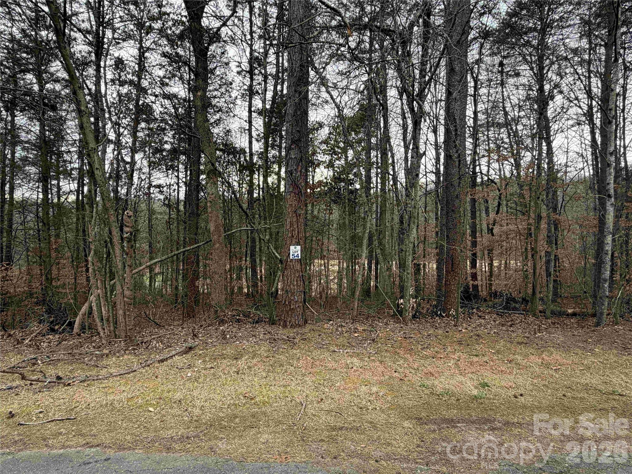 352 Broken Arrow Drive