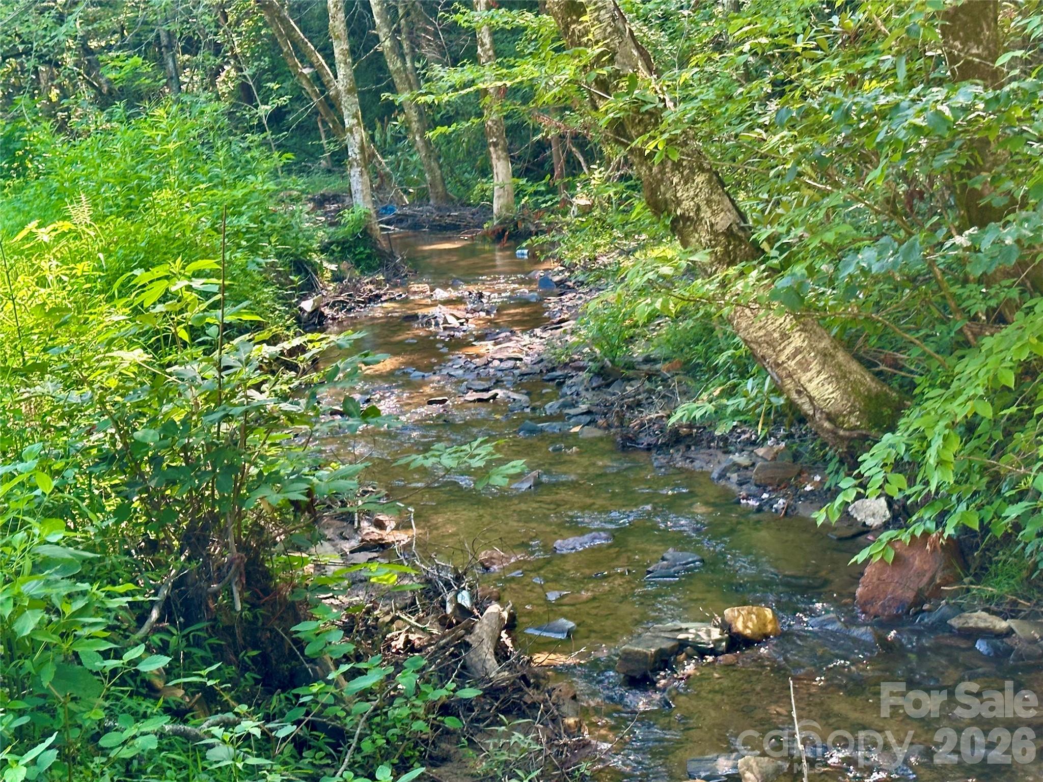 Creek across street - 492 Chestnut Mountain Road, Spruce Pine