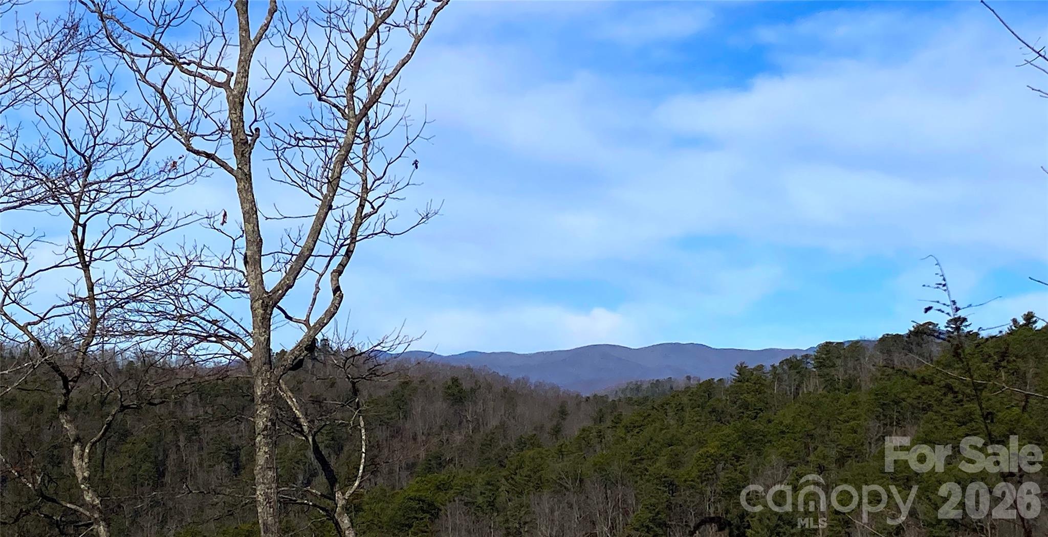 Lot at TBD Ruffed Grouse Road, Brevard, photo 2 of 4