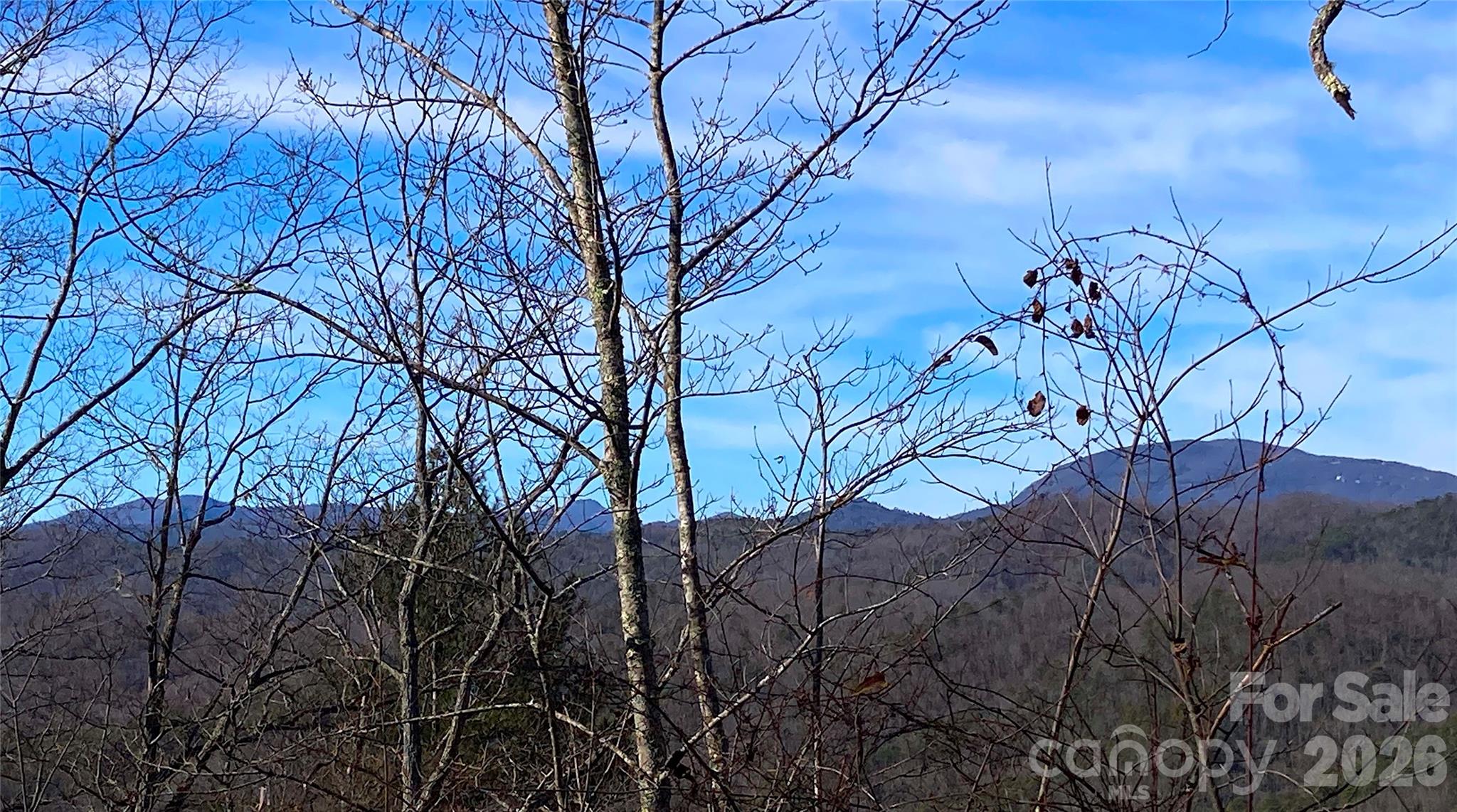Lot at TBD Ruffed Grouse Road, Brevard, photo 3 of 4