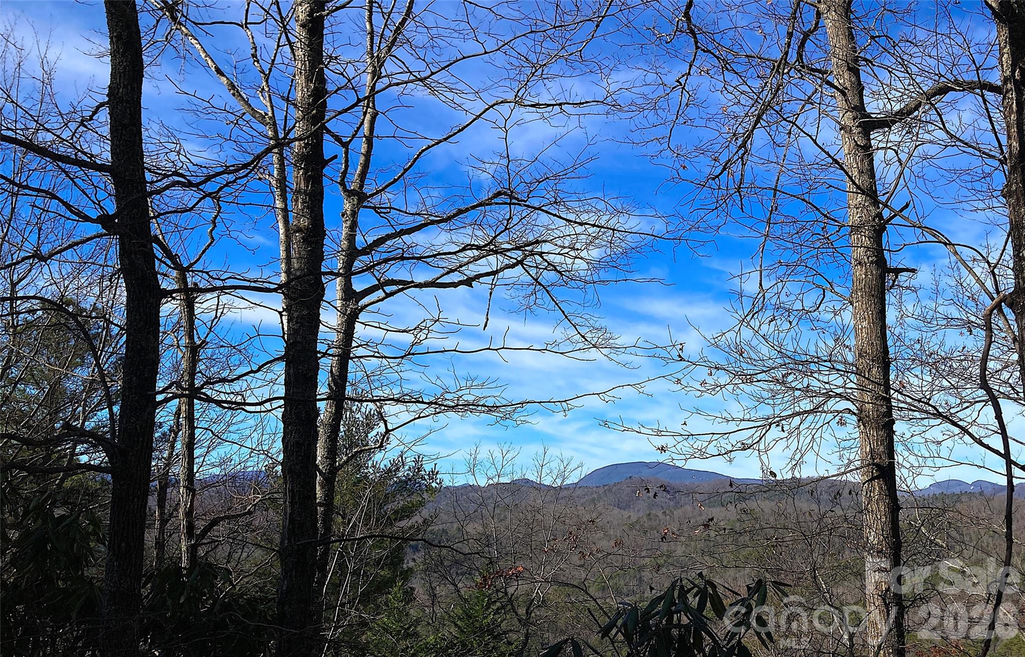 Lot at TBD Ruffed Grouse Road, Brevard, photo 4 of 4