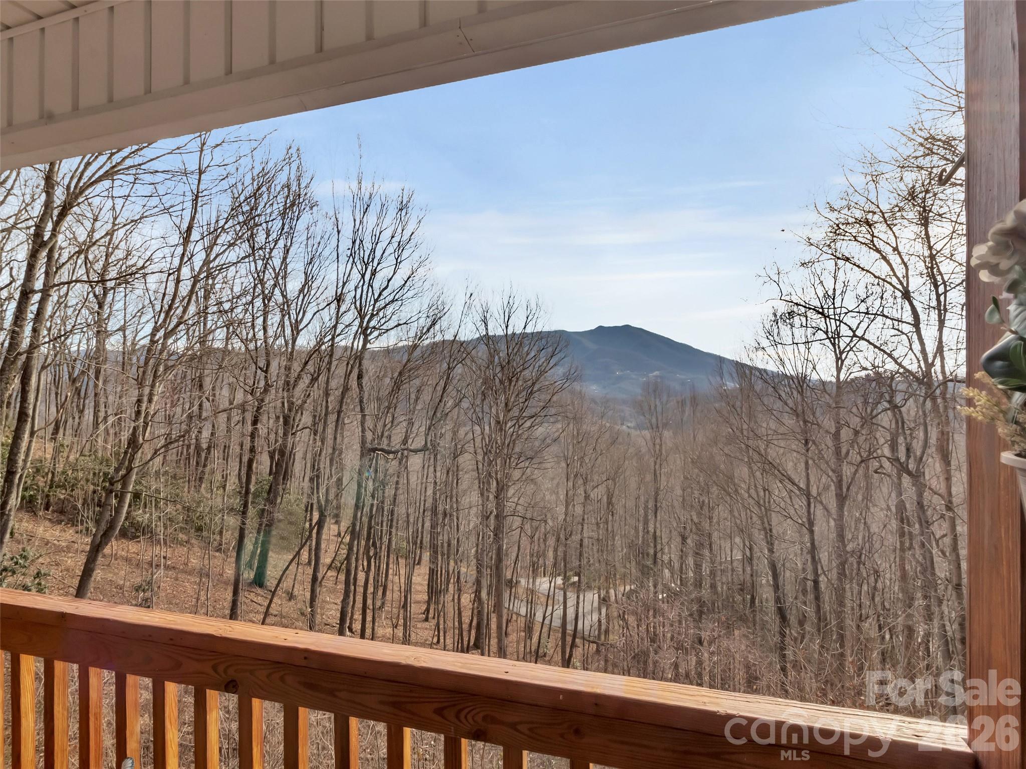 Single Family Residence at 371 Falcon Ridge Drive, Waynesville, photo 4 of 48