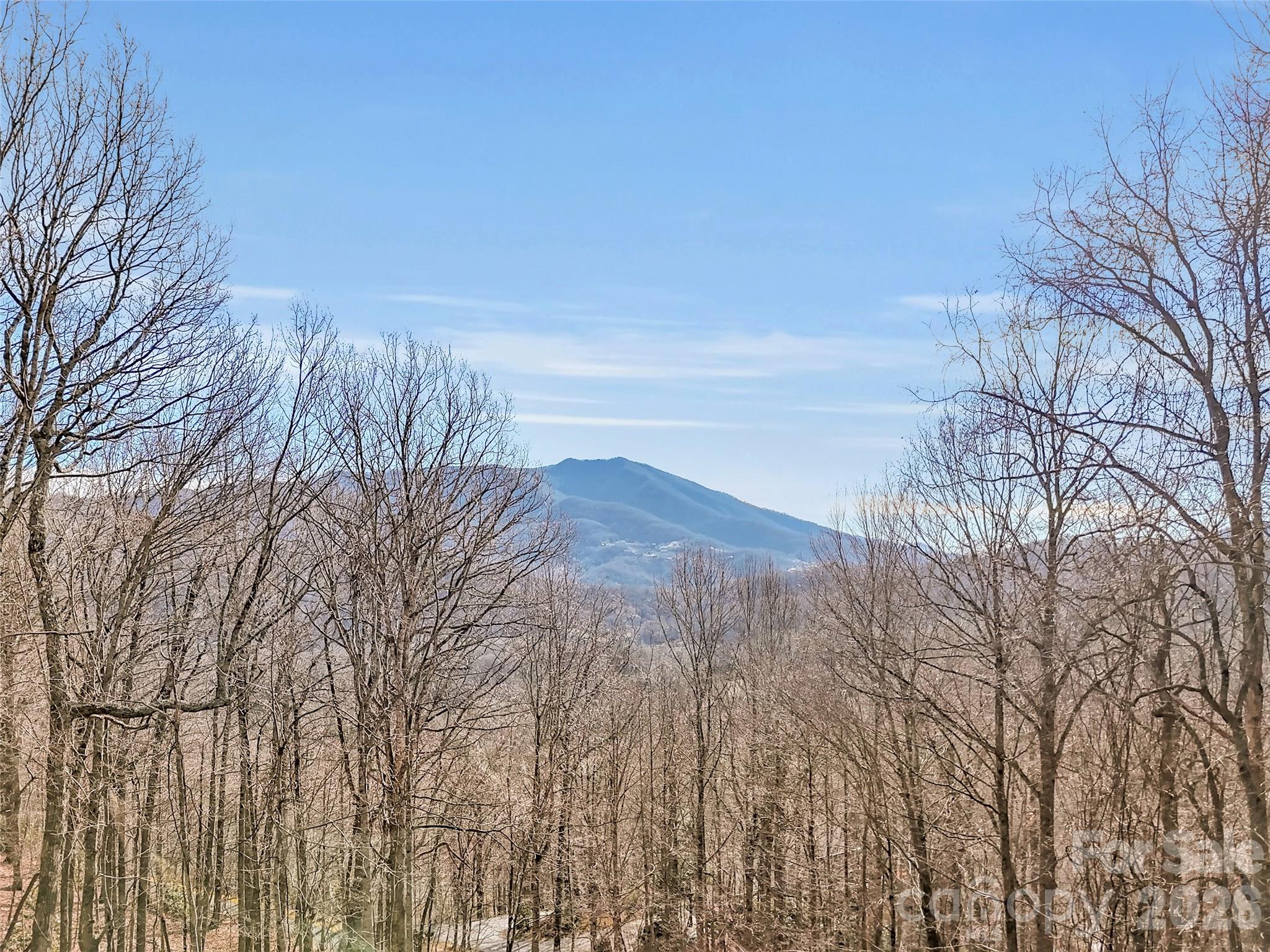Single Family Residence at 371 Falcon Ridge Drive, Waynesville, photo 44 of 48