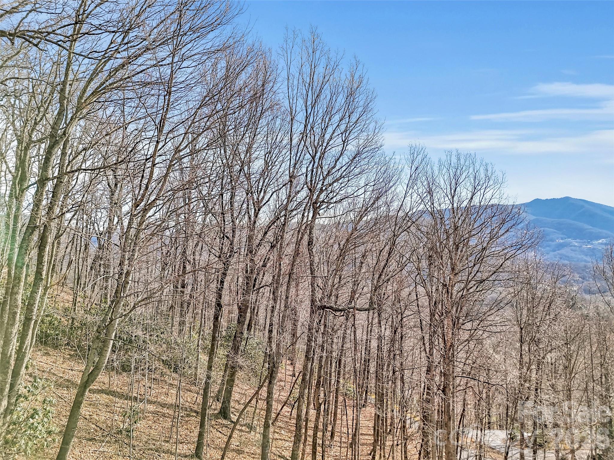 Single Family Residence at 371 Falcon Ridge Drive, Waynesville, photo 45 of 48