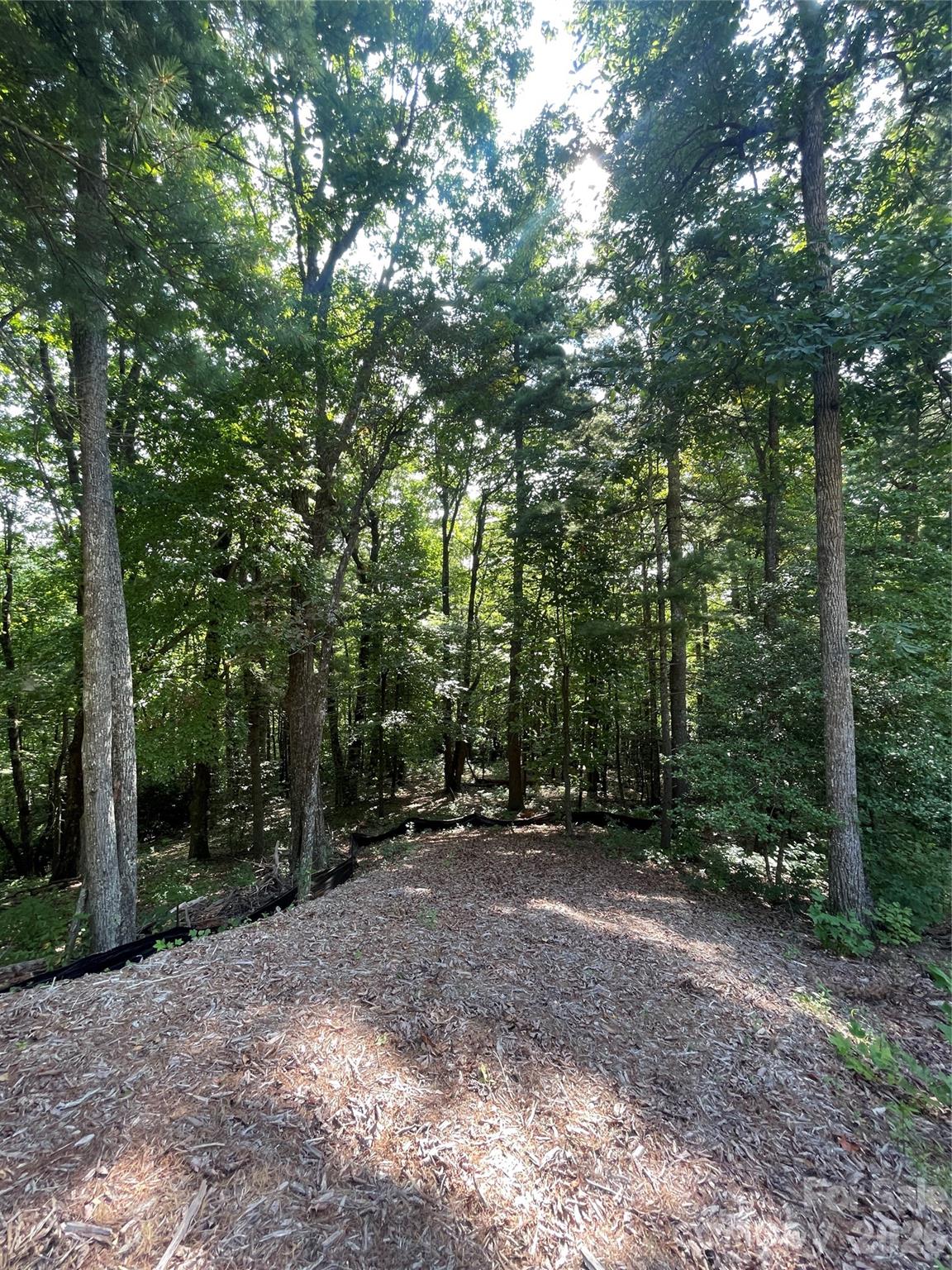 Lot at Lot # 21 Haverhill Court, Flat Rock, photo 6 of 31