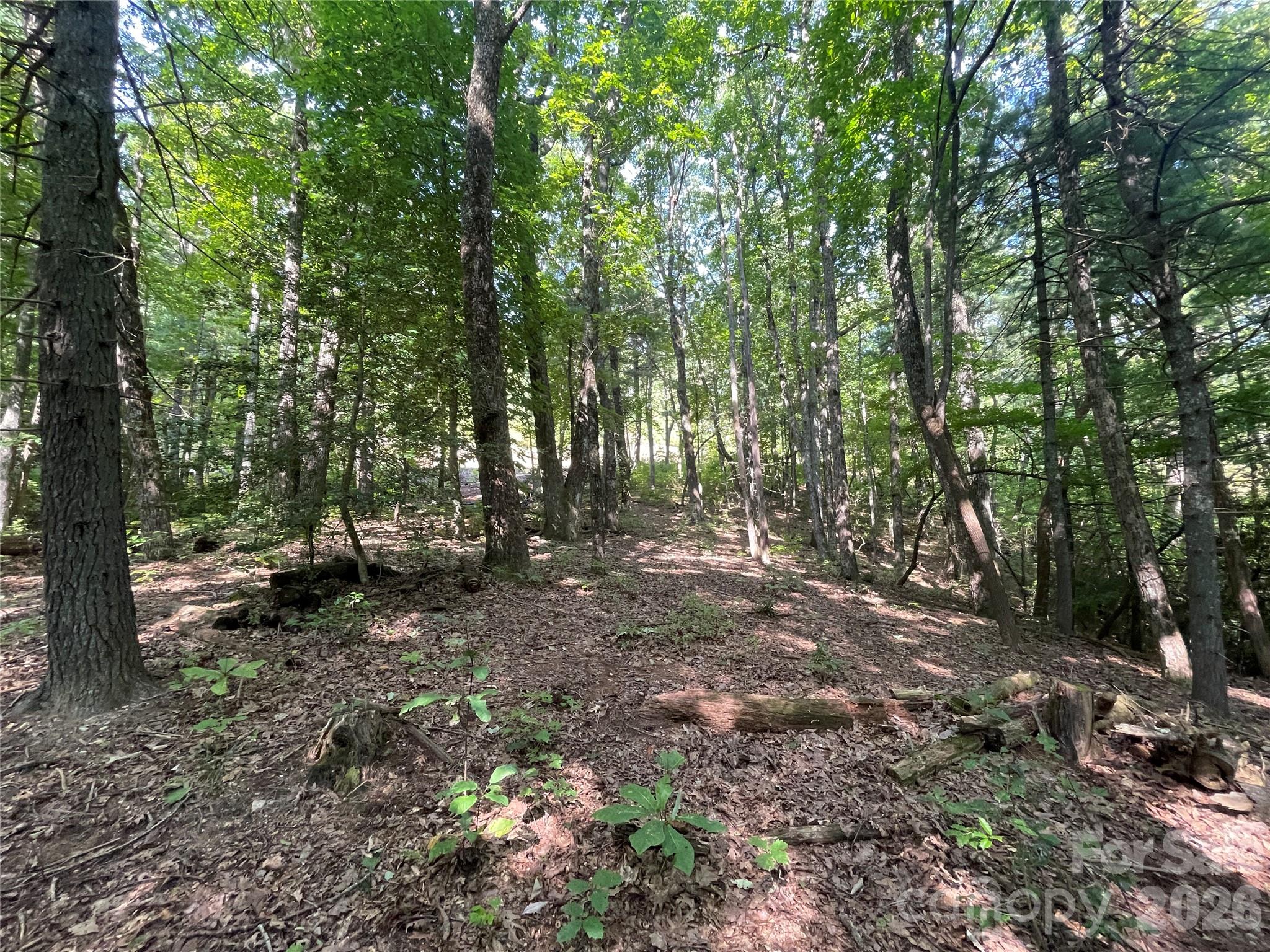 Lot at Lot # 21 Haverhill Court, Flat Rock, photo 14 of 31