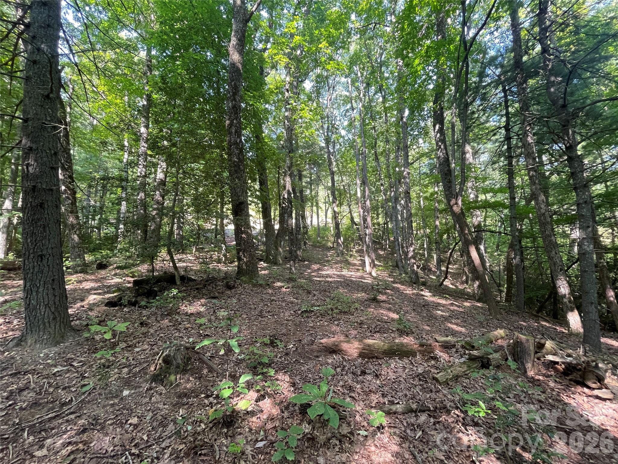 Lot at Lot # 21 Haverhill Court, Flat Rock, photo 15 of 31