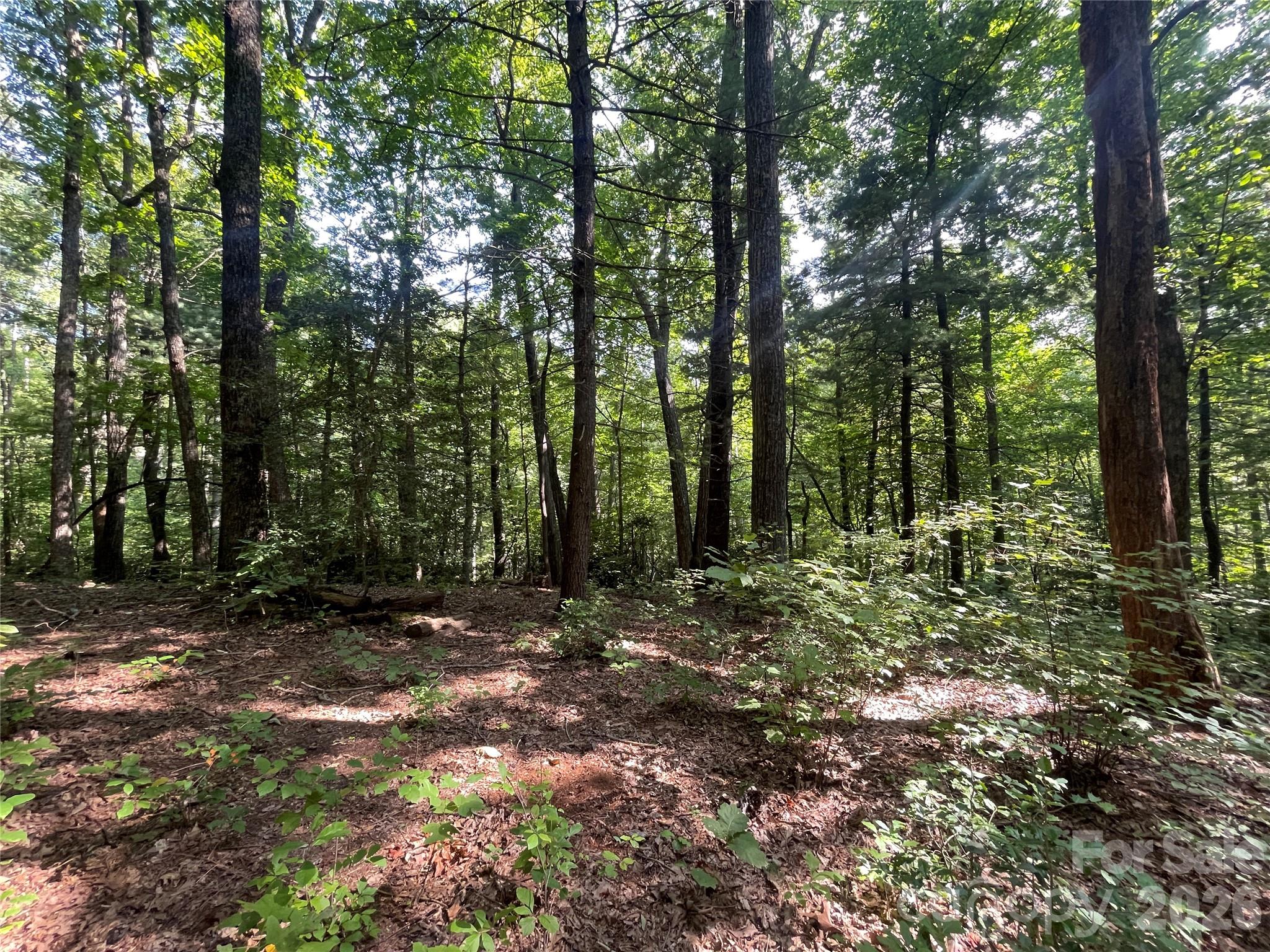 Lot at Lot # 21 Haverhill Court, Flat Rock, photo 19 of 31