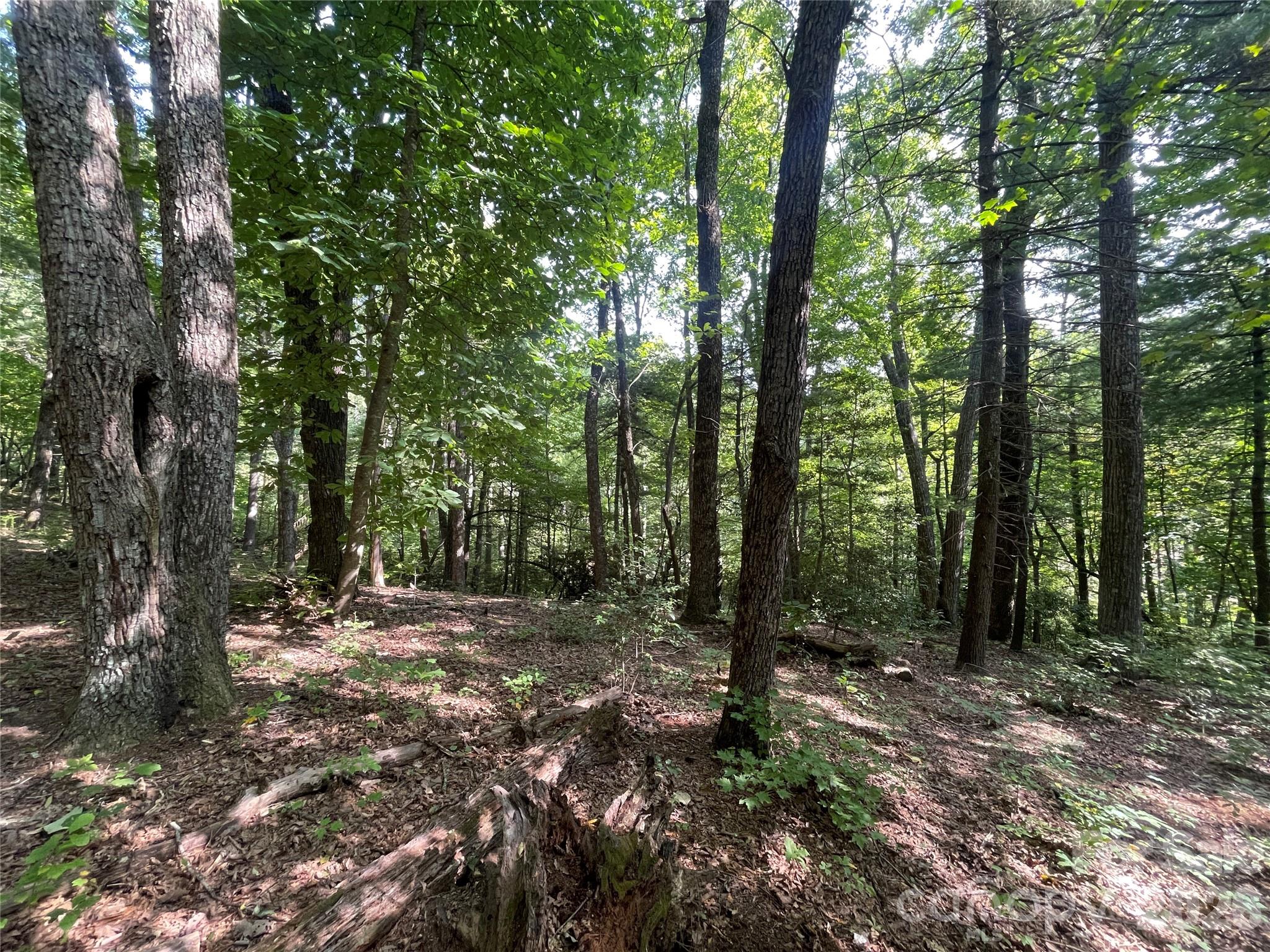 Lot at Lot # 21 Haverhill Court, Flat Rock, photo 20 of 31