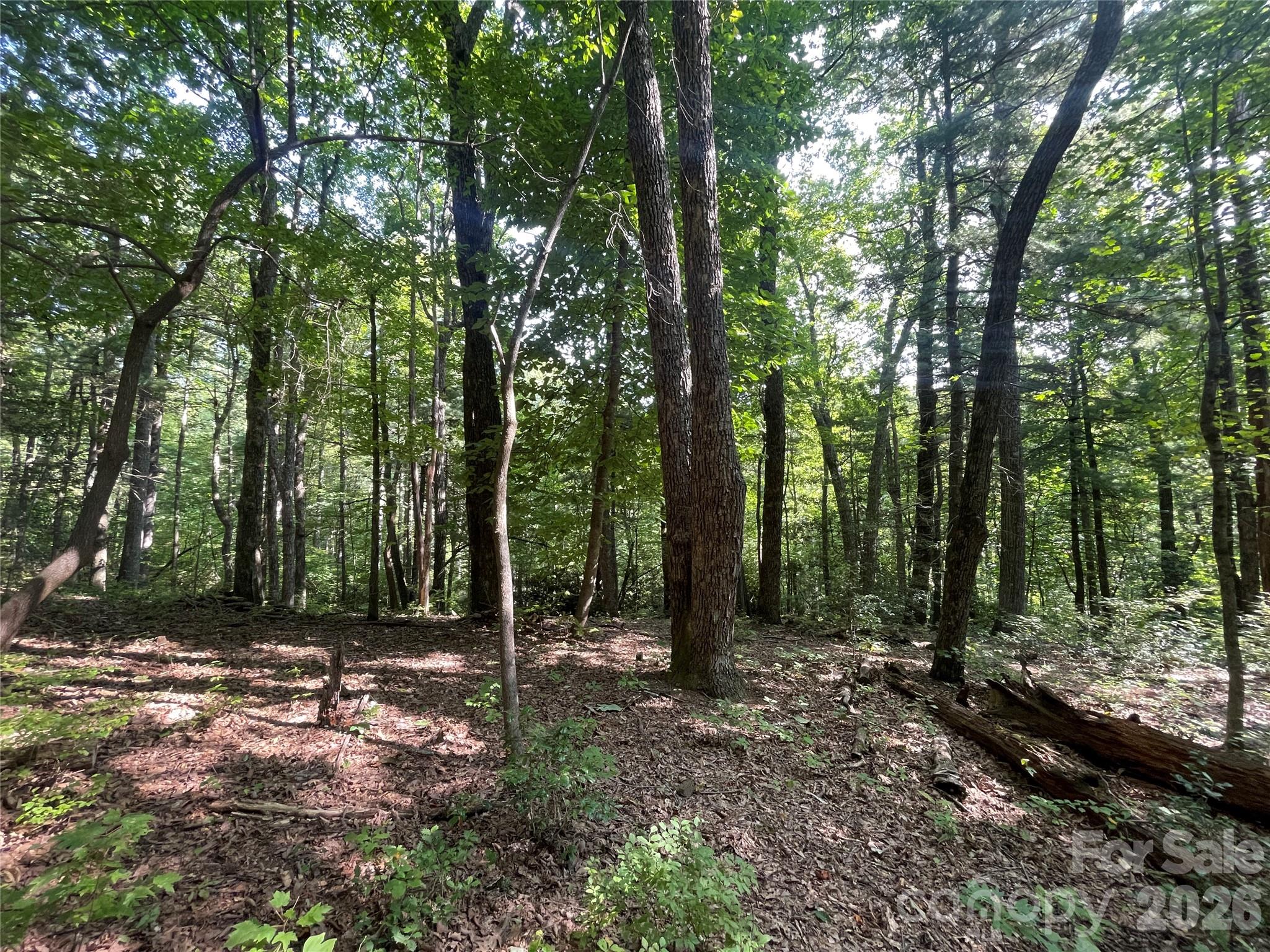 Lot at Lot # 21 Haverhill Court, Flat Rock, photo 21 of 31