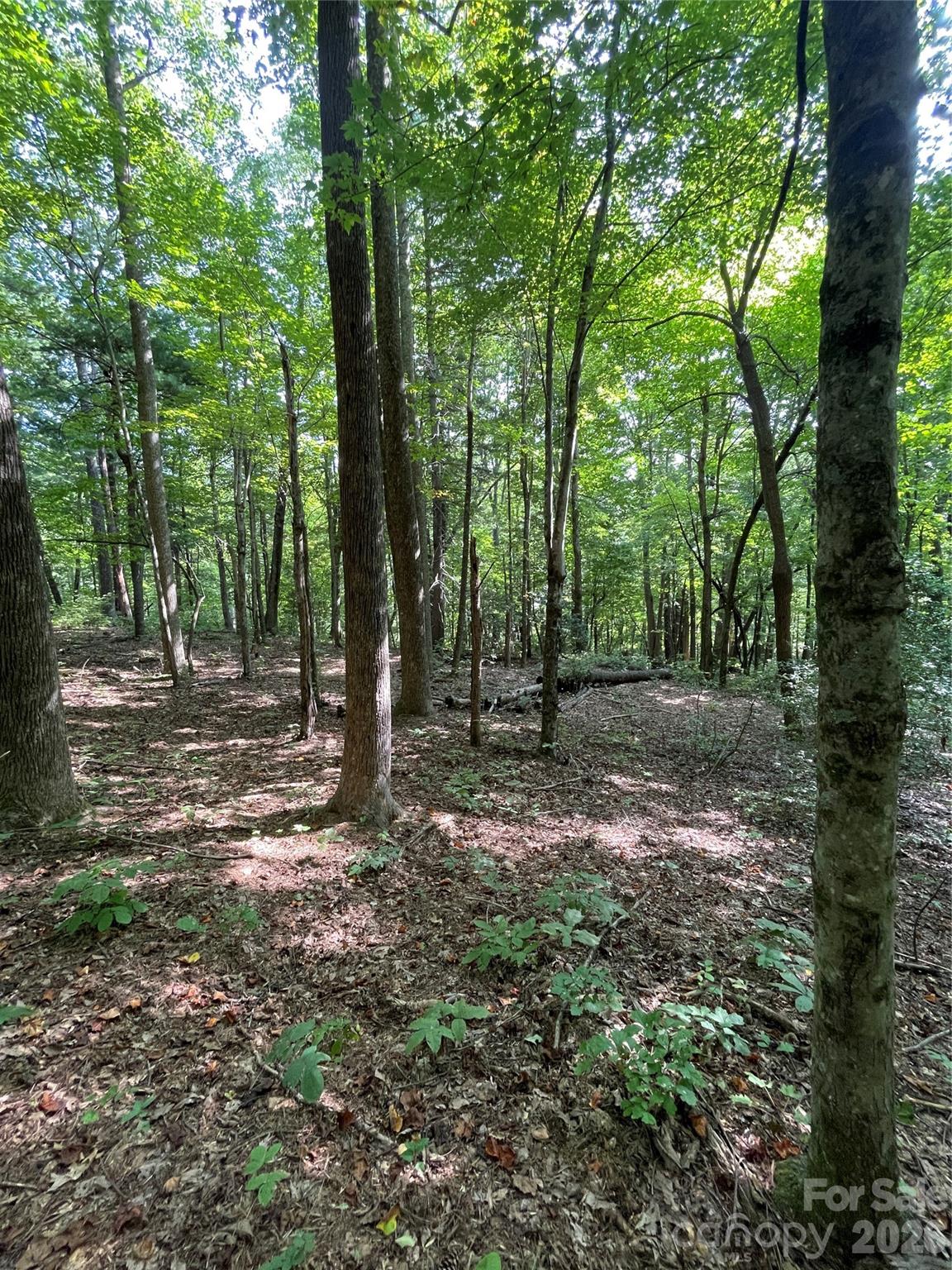 Lot at Lot 20 Haverhill Court, Flat Rock, photo 7 of 30