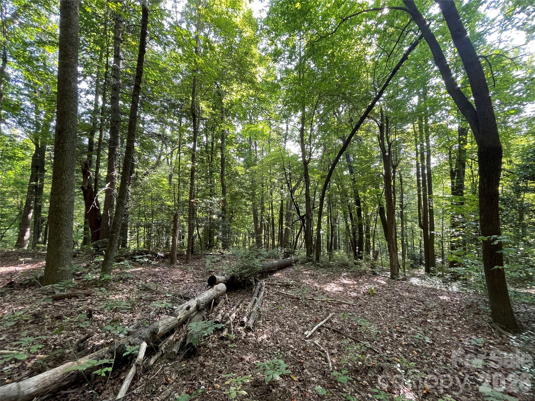 Lot at Lot 20 Haverhill Court, Flat Rock, photo 9 of 30