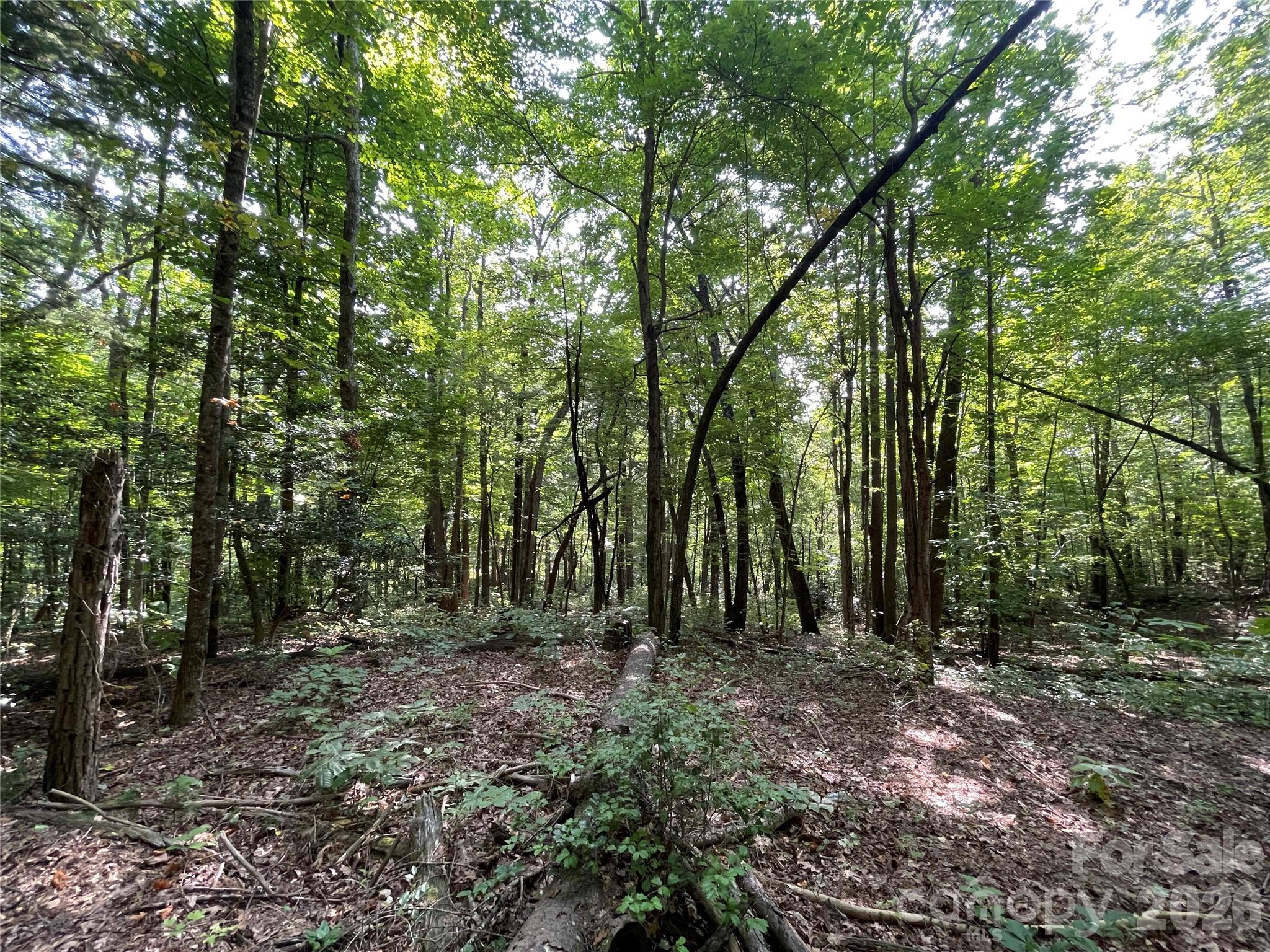 Lot at Lot 20 Haverhill Court, Flat Rock, photo 10 of 30