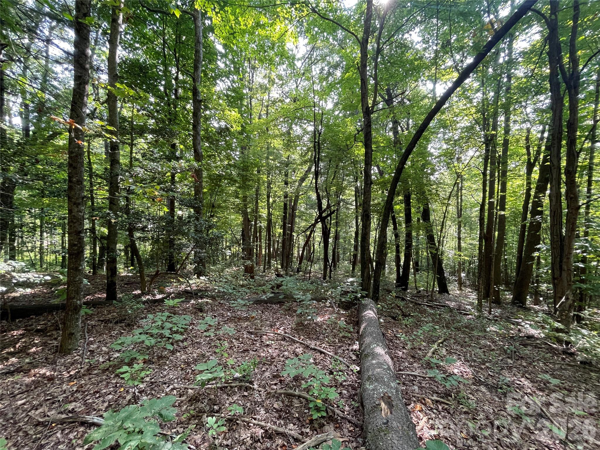 Lot at Lot 20 Haverhill Court, Flat Rock, photo 11 of 30