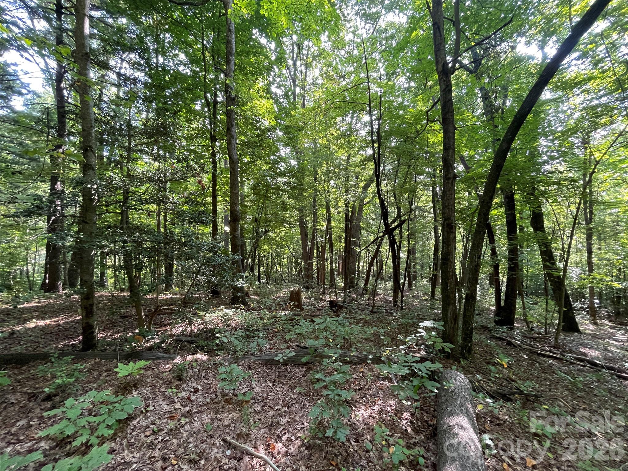 Lot at Lot 20 Haverhill Court, Flat Rock, photo 12 of 30