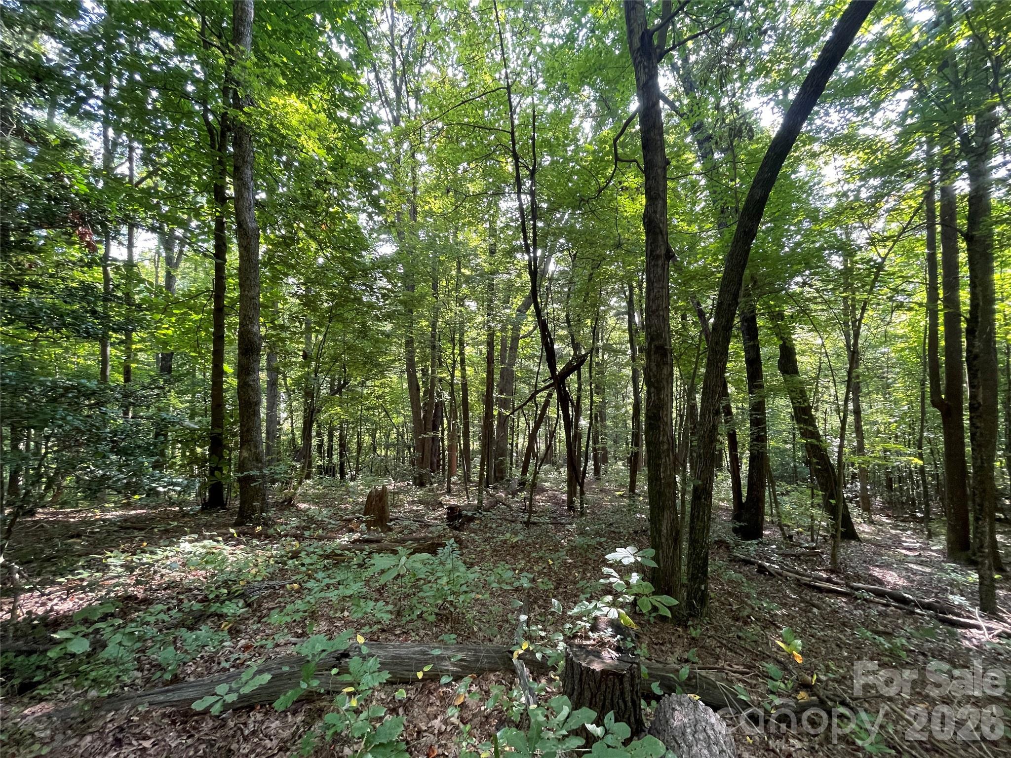 Lot at Lot 20 Haverhill Court, Flat Rock, photo 13 of 30