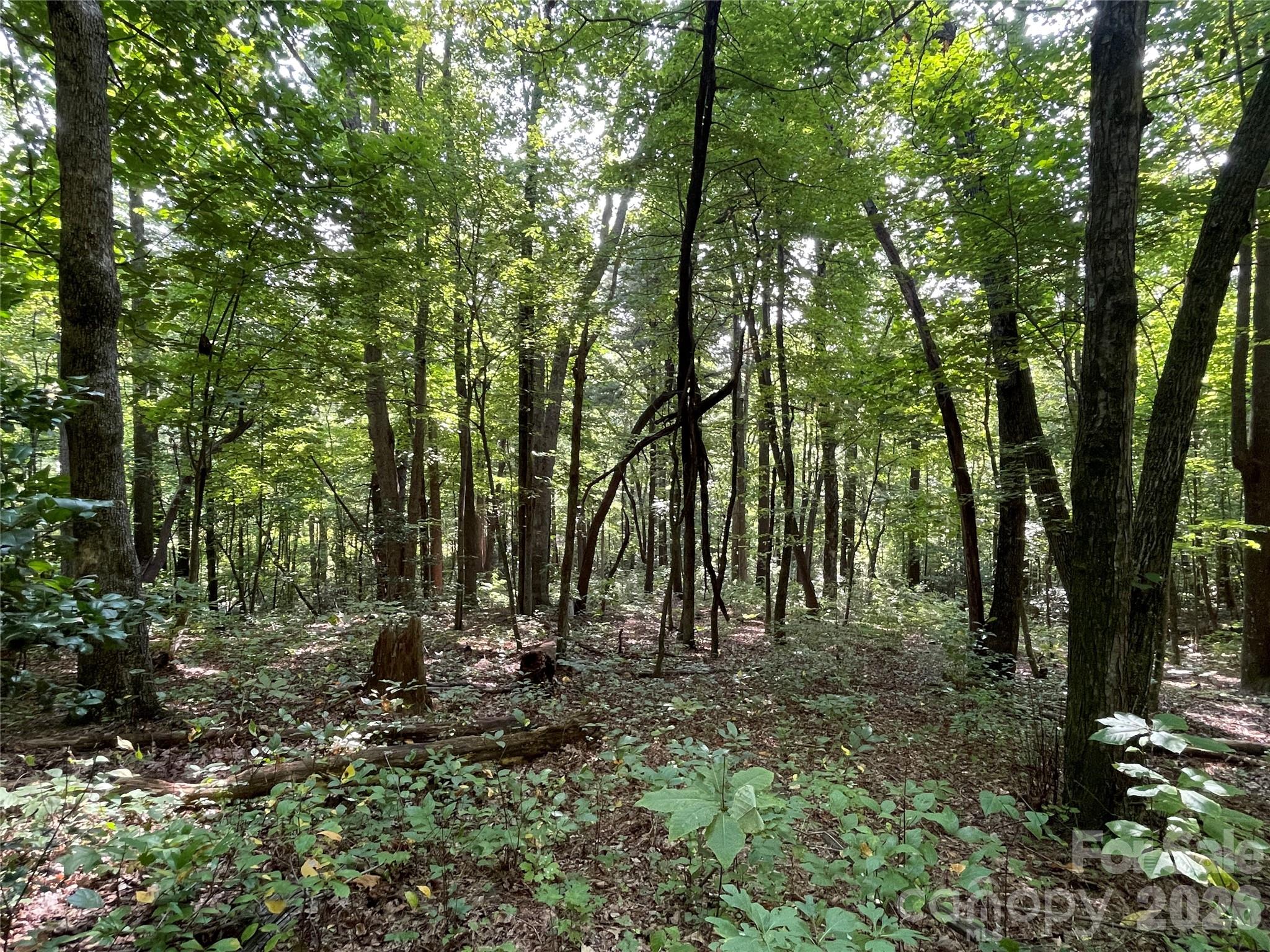 Lot at Lot 20 Haverhill Court, Flat Rock, photo 17 of 30