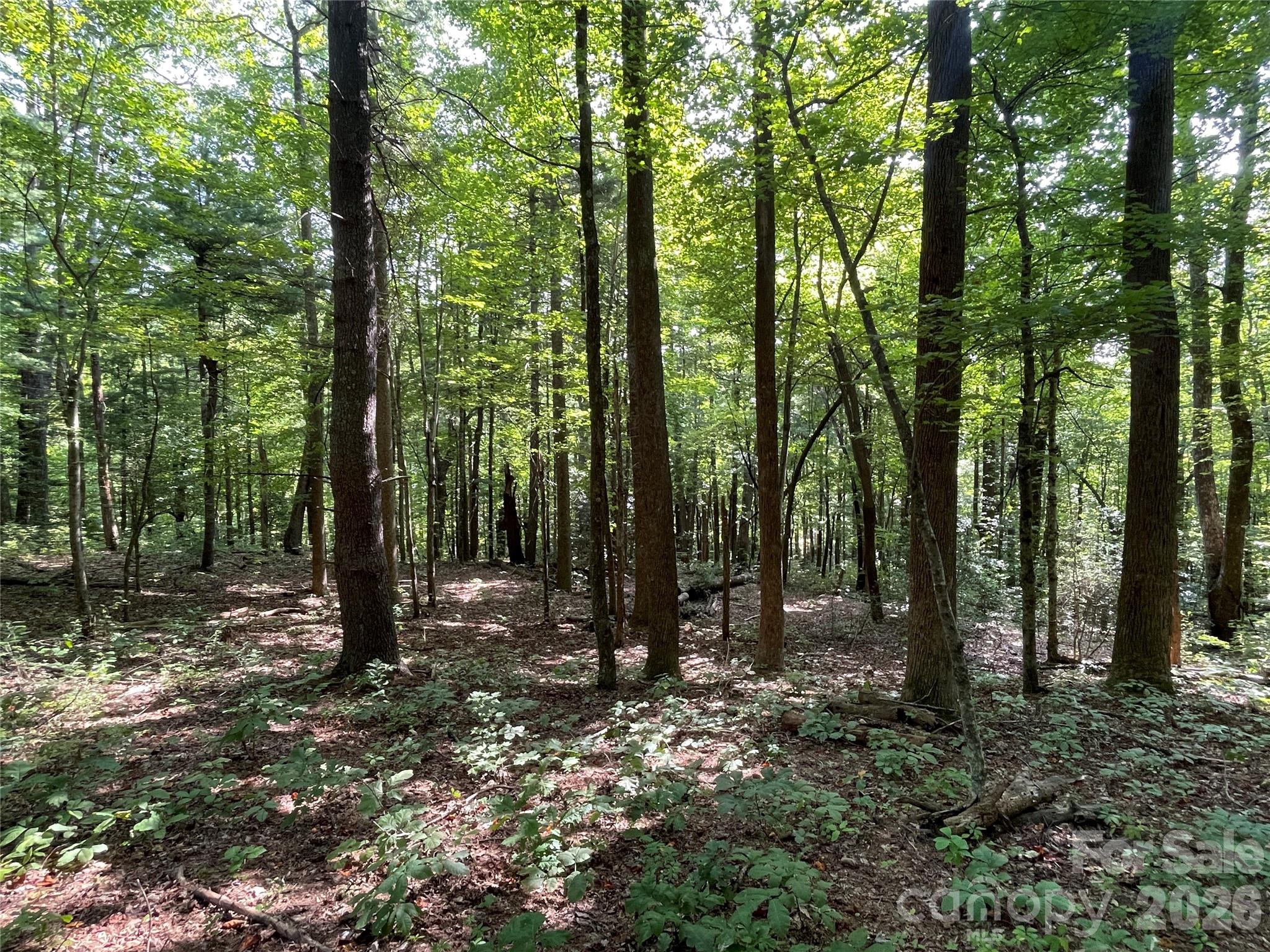 Lot at Lot 20 Haverhill Court, Flat Rock, photo 22 of 30
