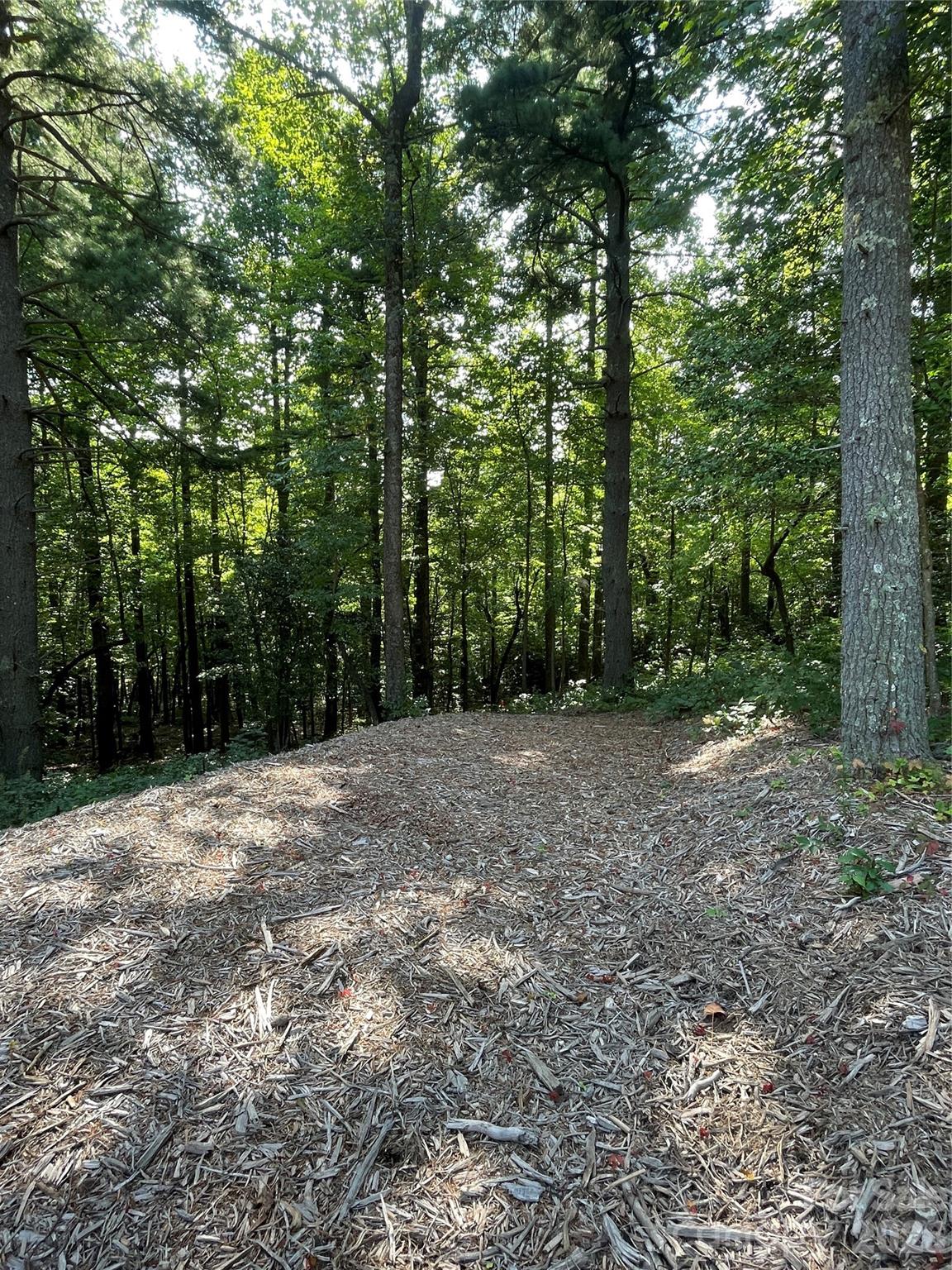 Lot at Lot 20 Haverhill Court, Flat Rock, photo 25 of 30