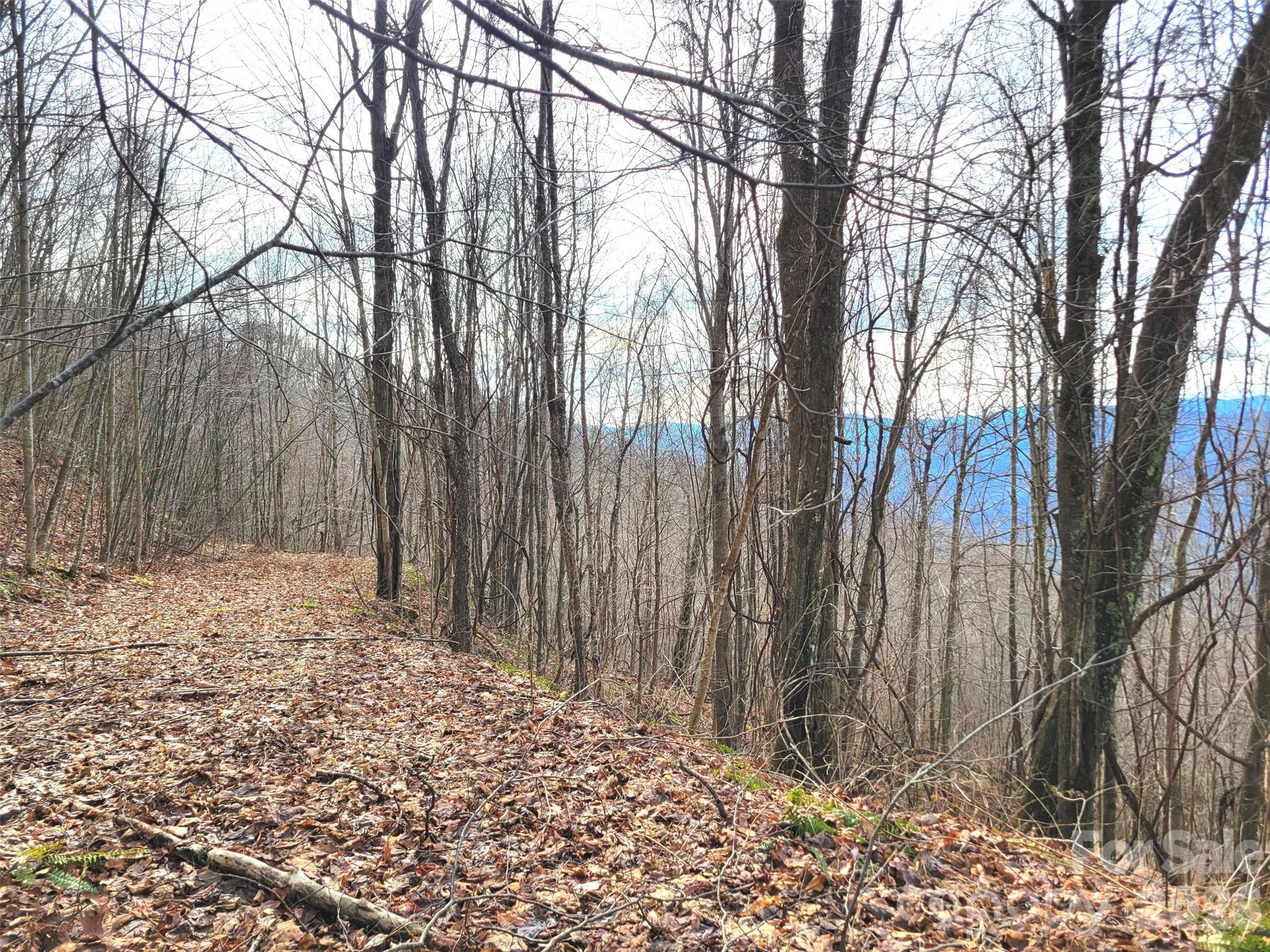 75 Rimrock Ridge