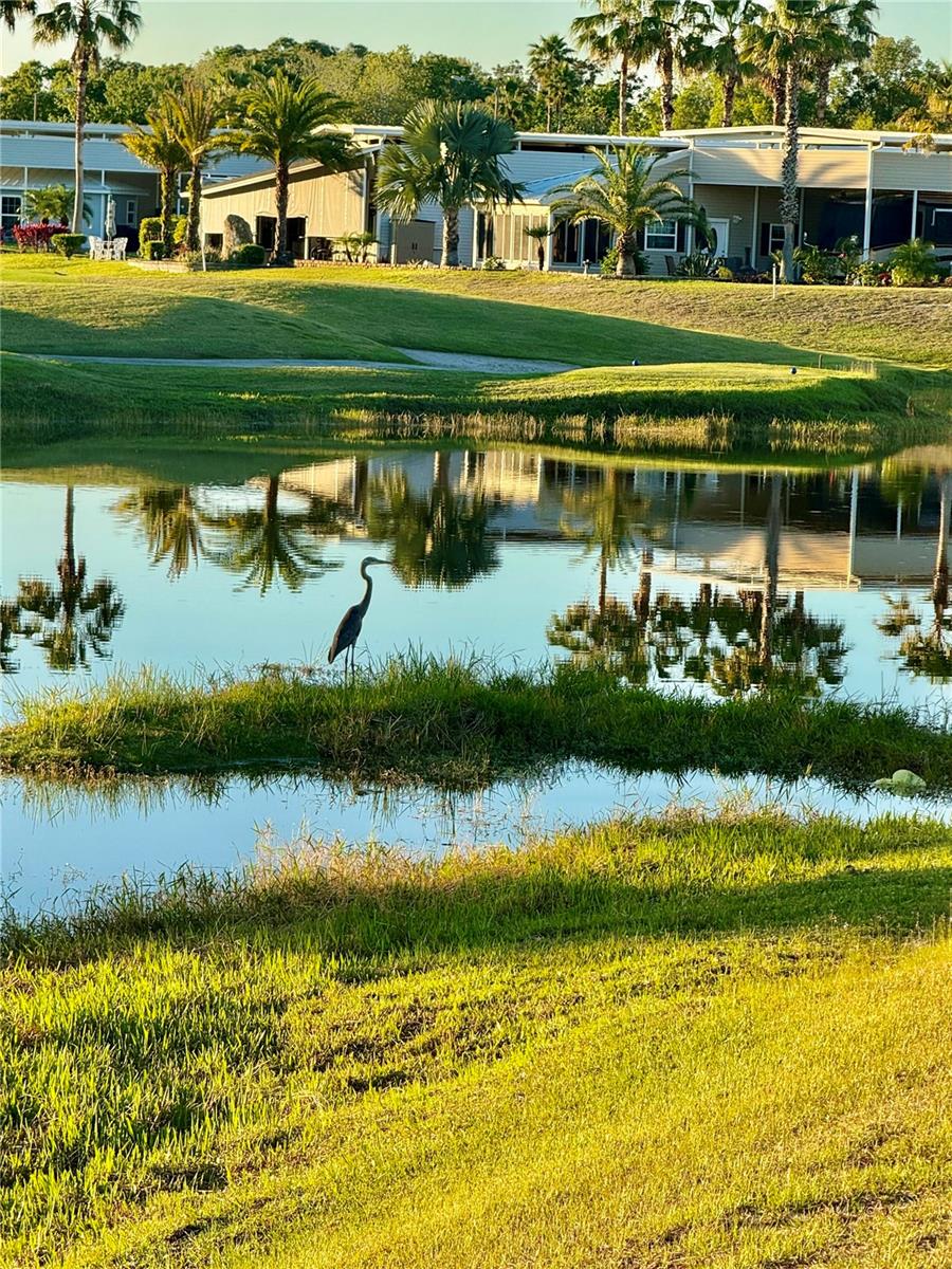 Pond of Hole 14 - 2253 ST GEORGE DR, DAVENPORT