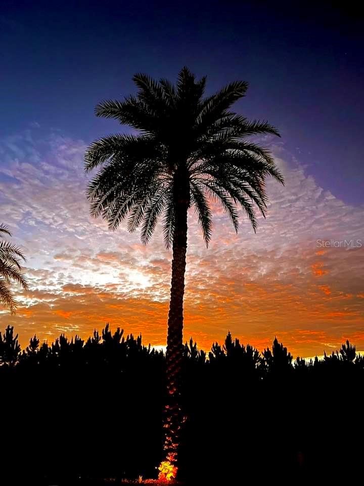 Sunsets at Deer Creek - 2253 ST GEORGE DR, DAVENPORT