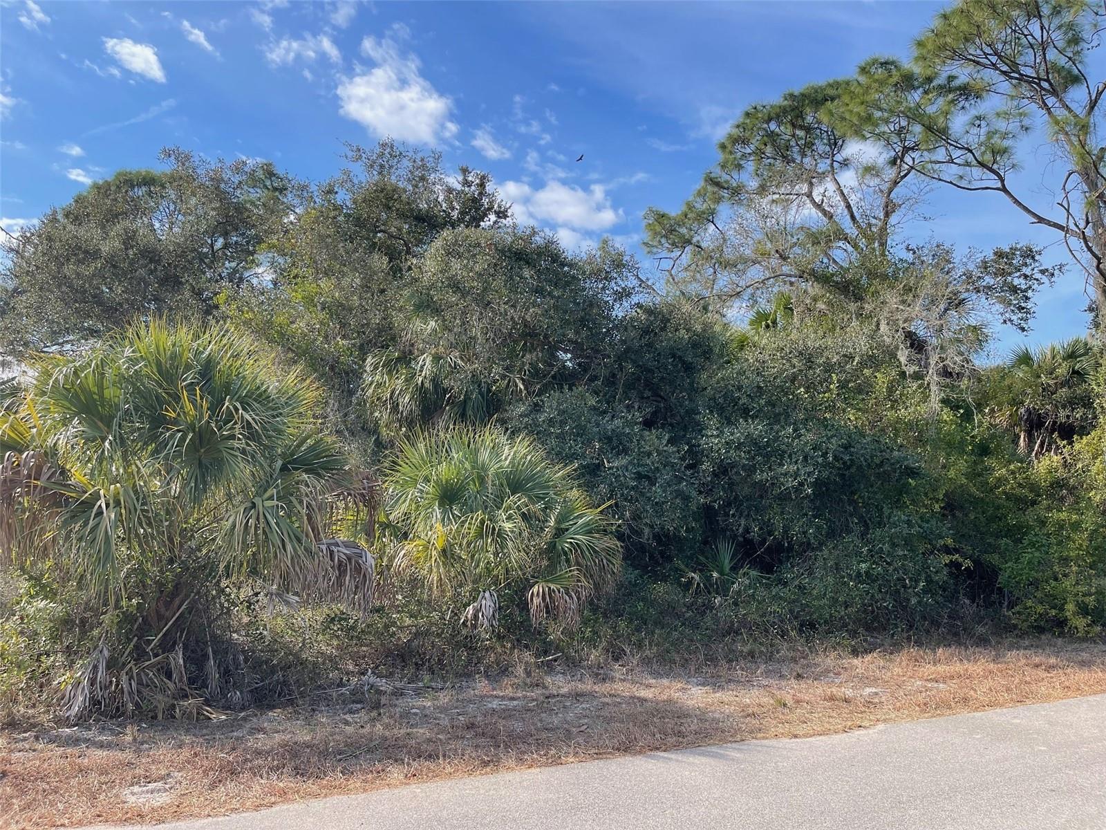 ABATE AVE #Lot 10